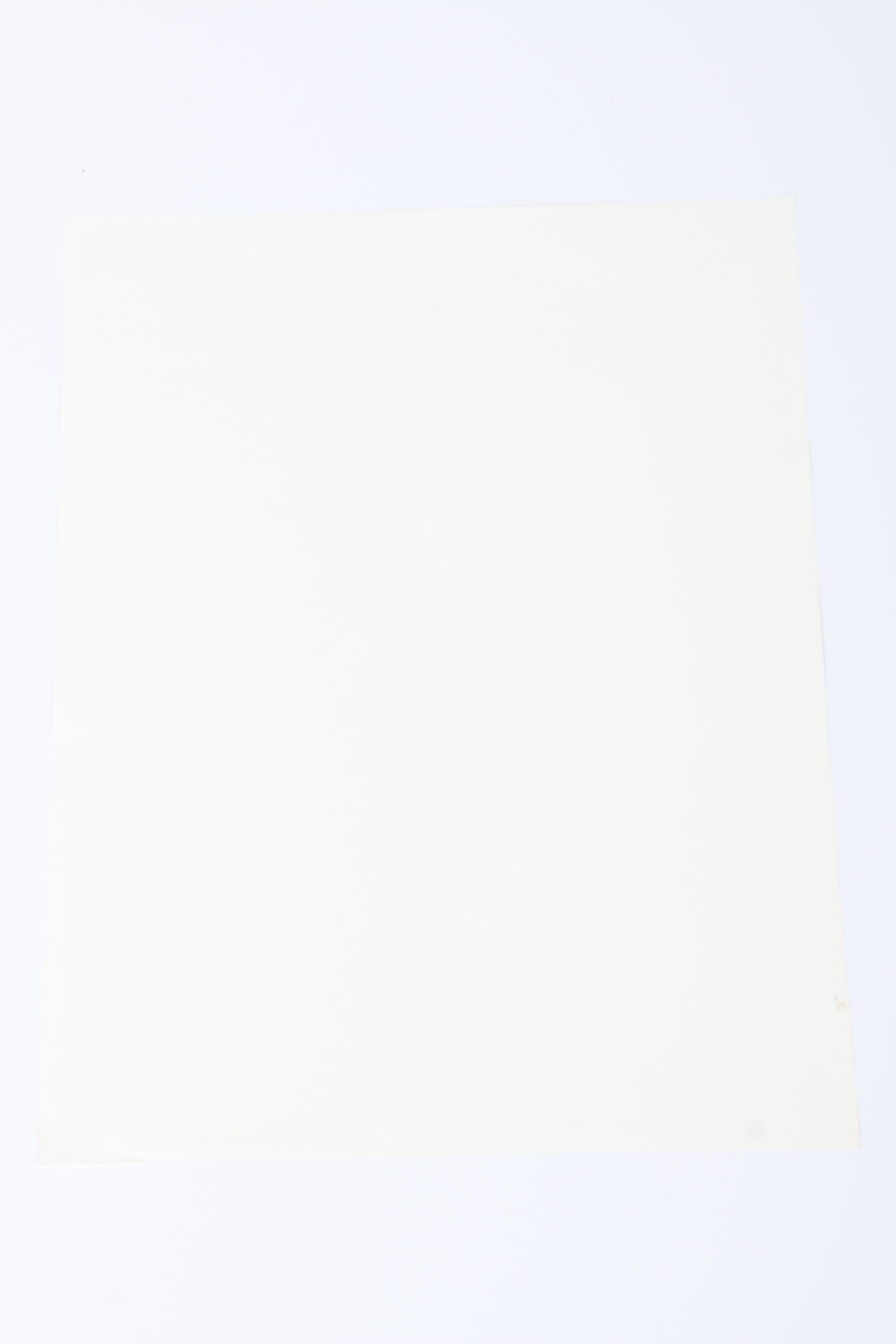 Signed Artist Proof Edition of C.L. Cunningham Shrimp Festival Poster