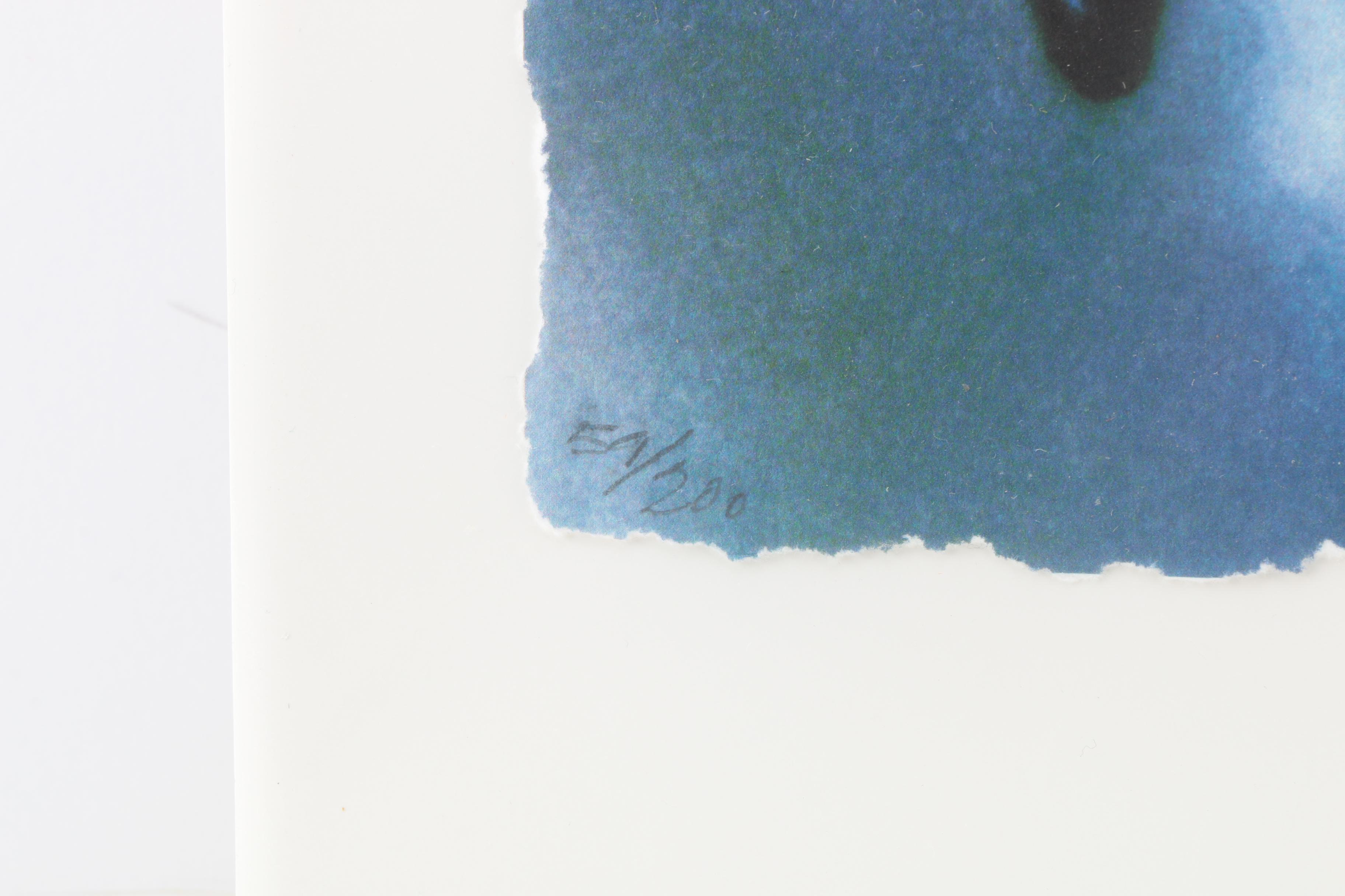 C.L. Cunningham Limited Edition Giclee Prints on Paper "Skyward I-IV"