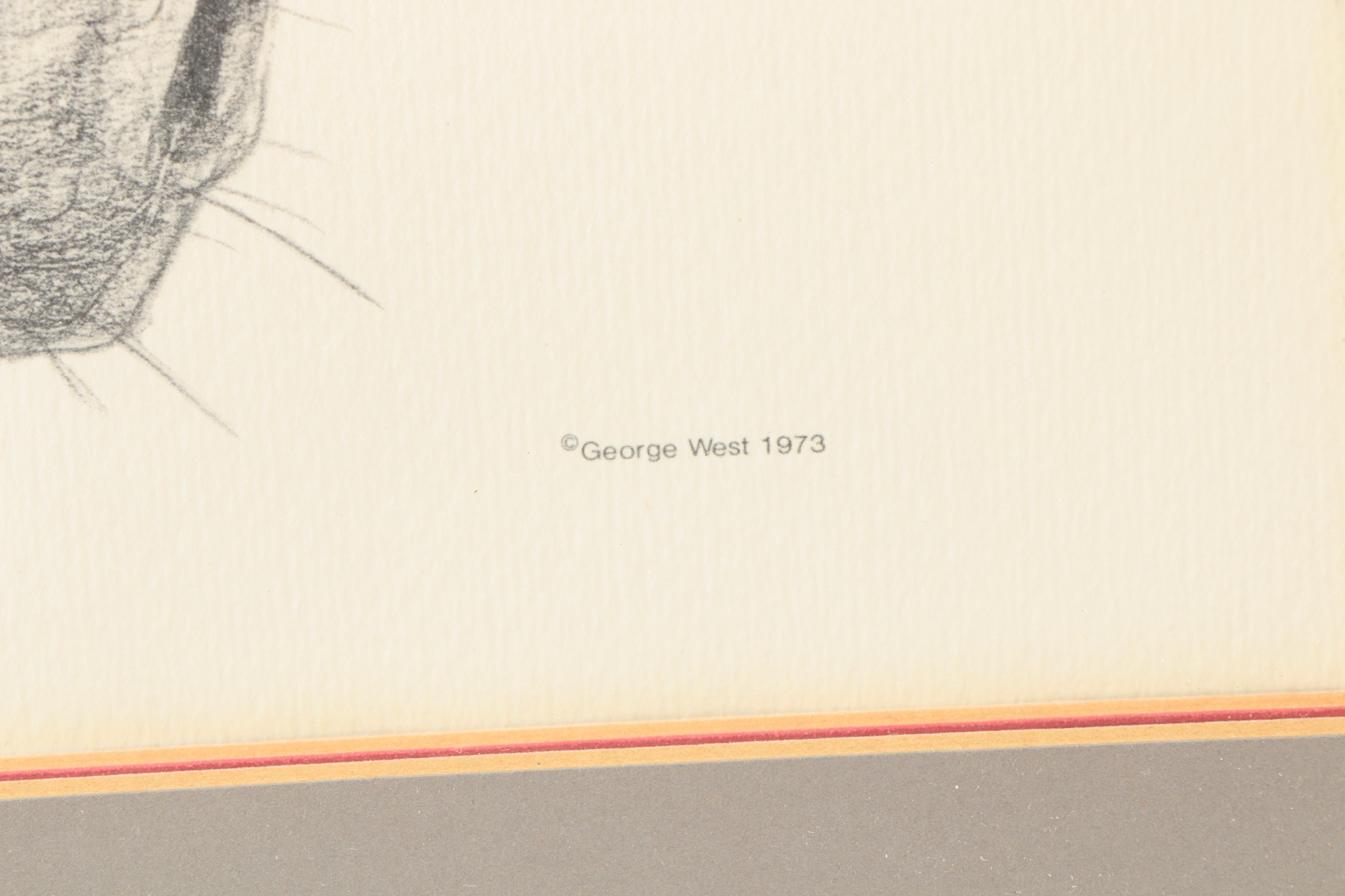 Offset Lithographic Reproduction after Bonnie Shields "Tennessee Mule"