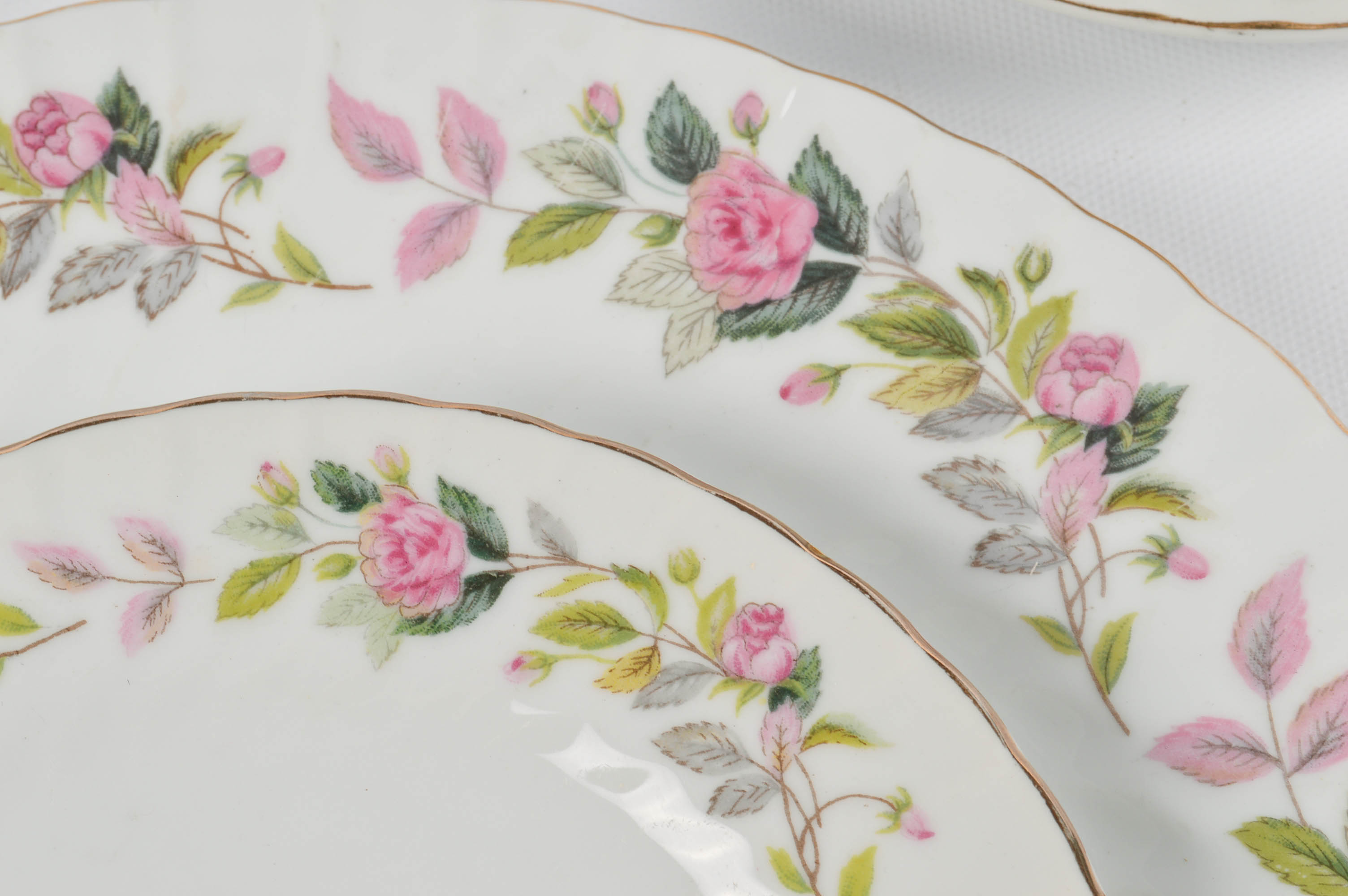 Creative "Regency Rose" Fine China