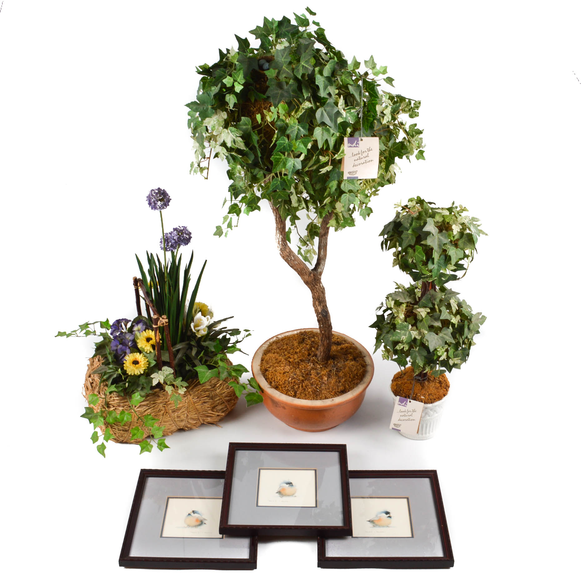 NDI Floral and Ivy Arrangements With Prints