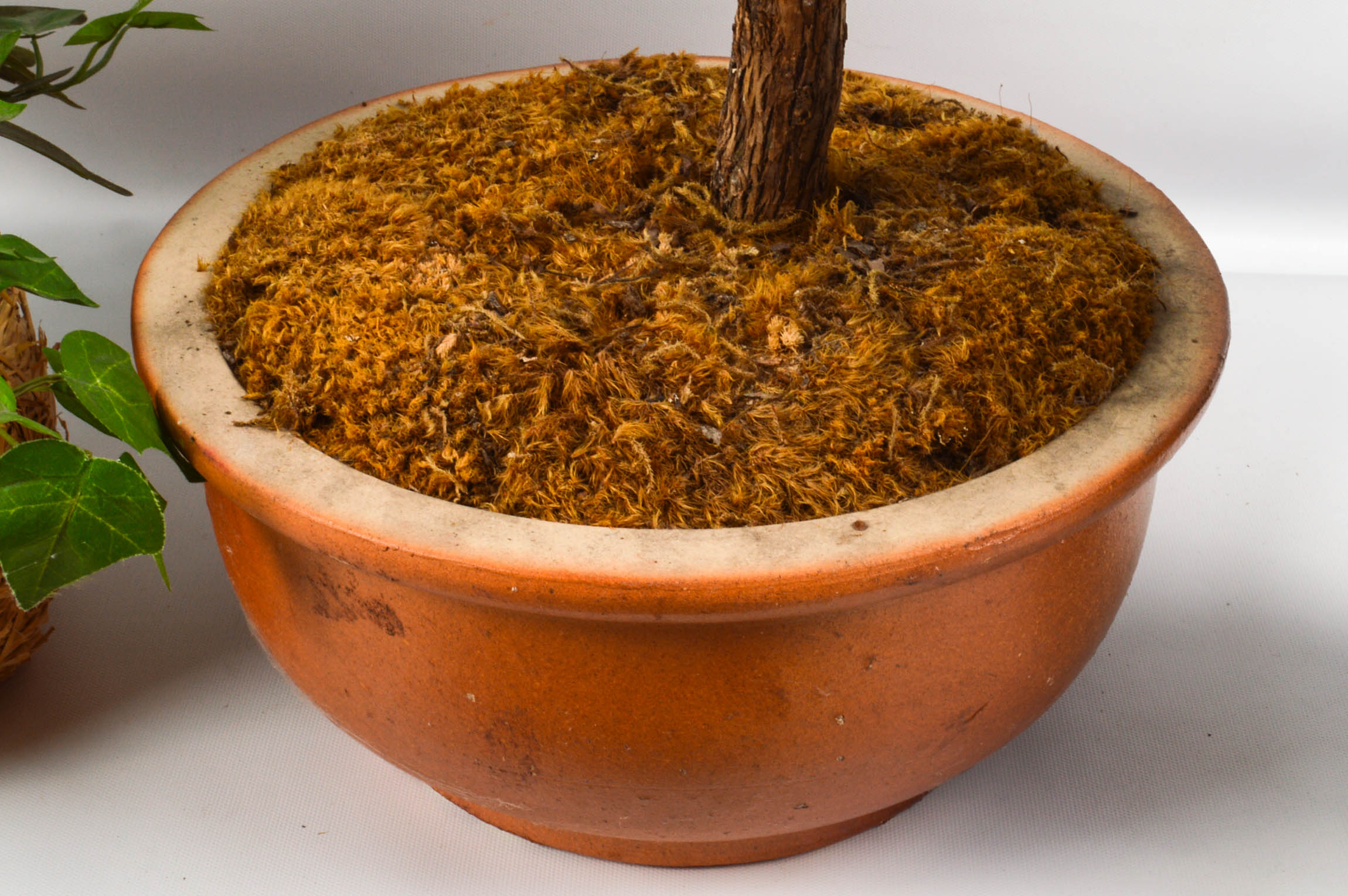 NDI Floral and Ivy Arrangements With Prints