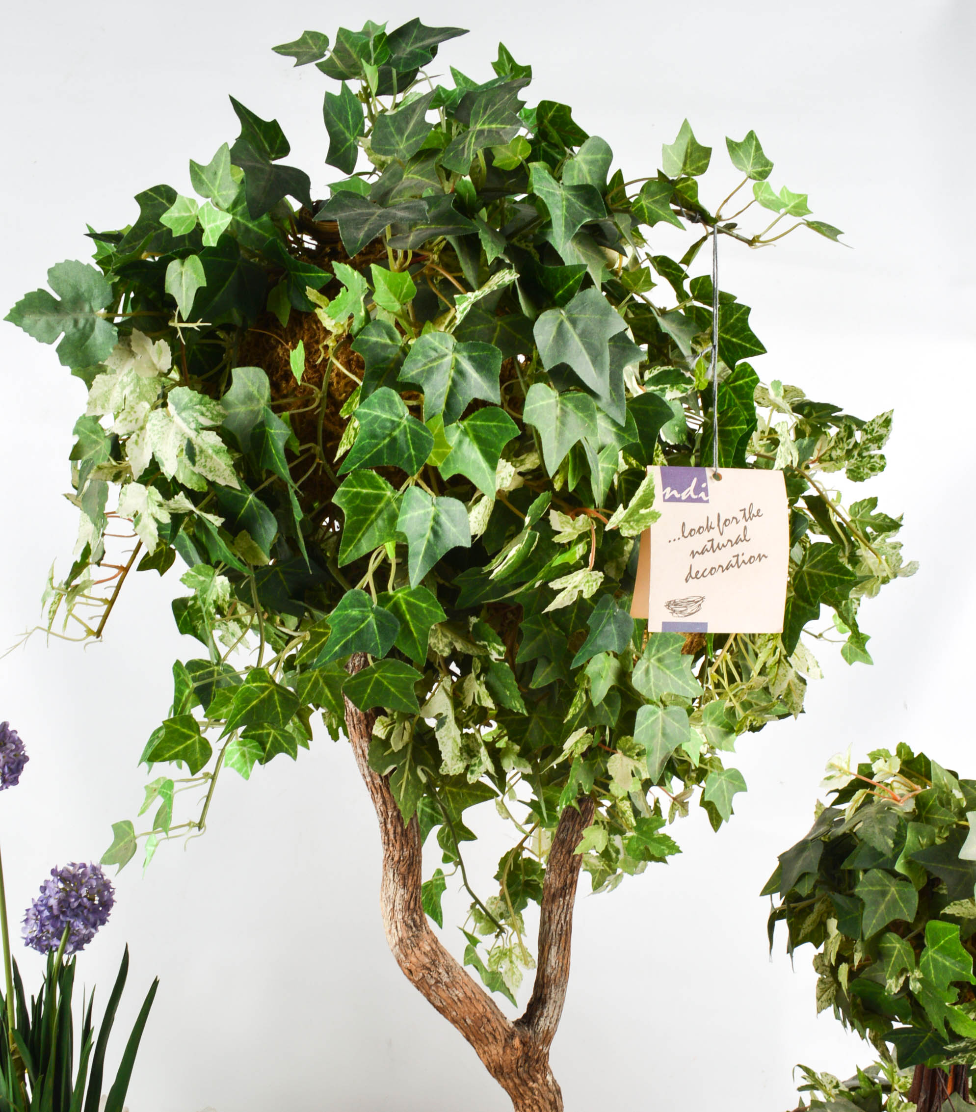 NDI Floral and Ivy Arrangements With Prints