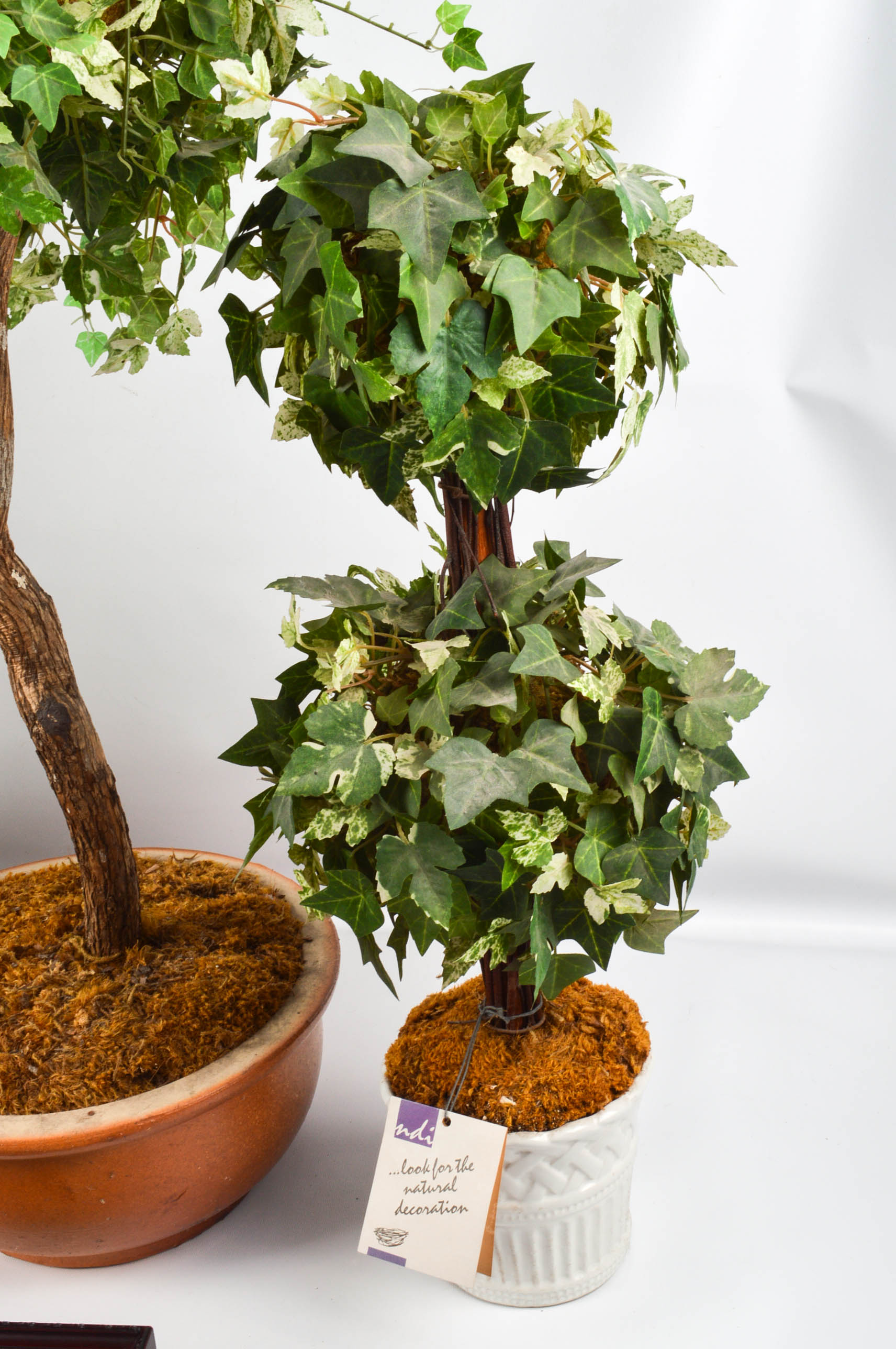 NDI Floral and Ivy Arrangements With Prints