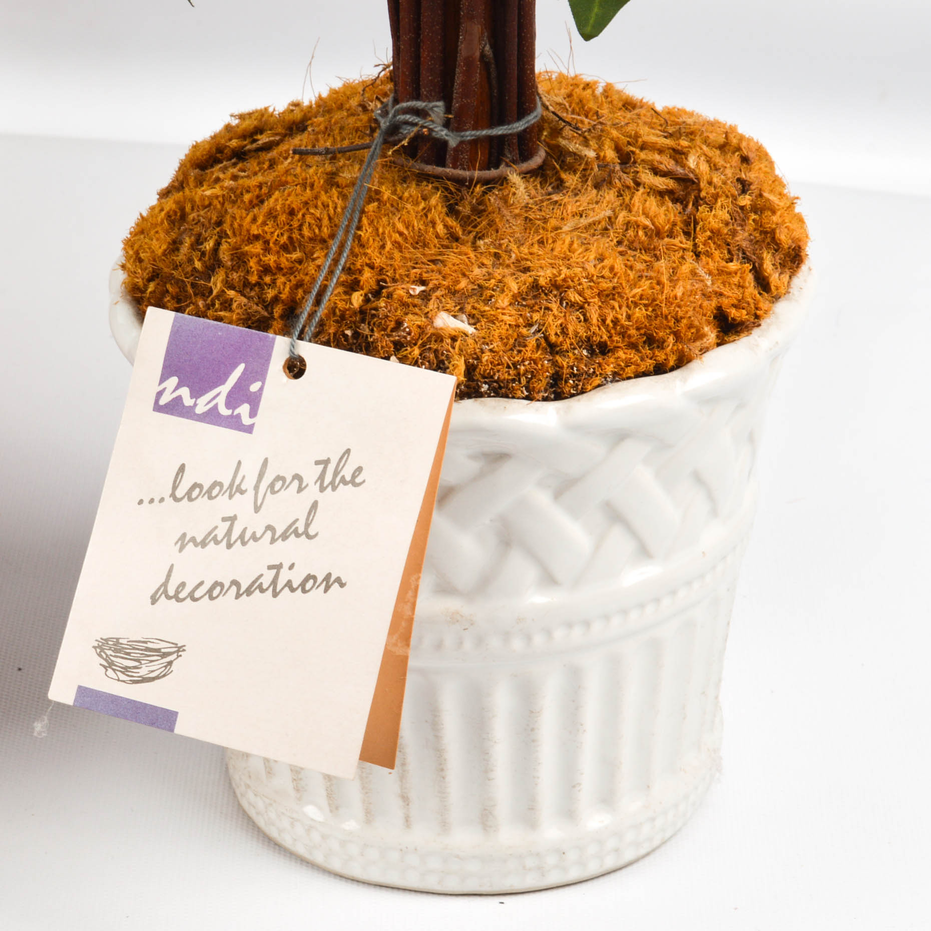 NDI Floral and Ivy Arrangements With Prints