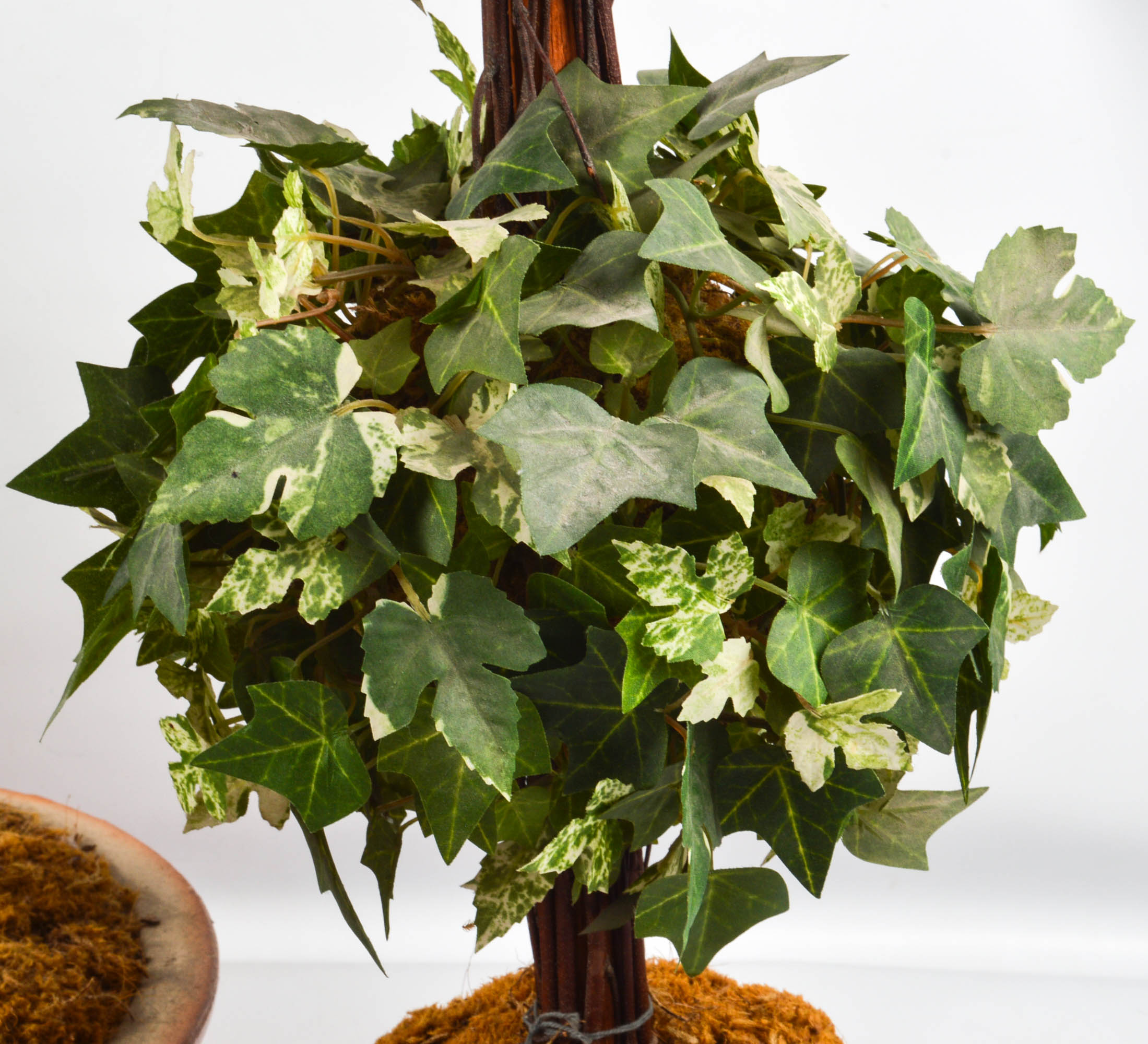 NDI Floral and Ivy Arrangements With Prints