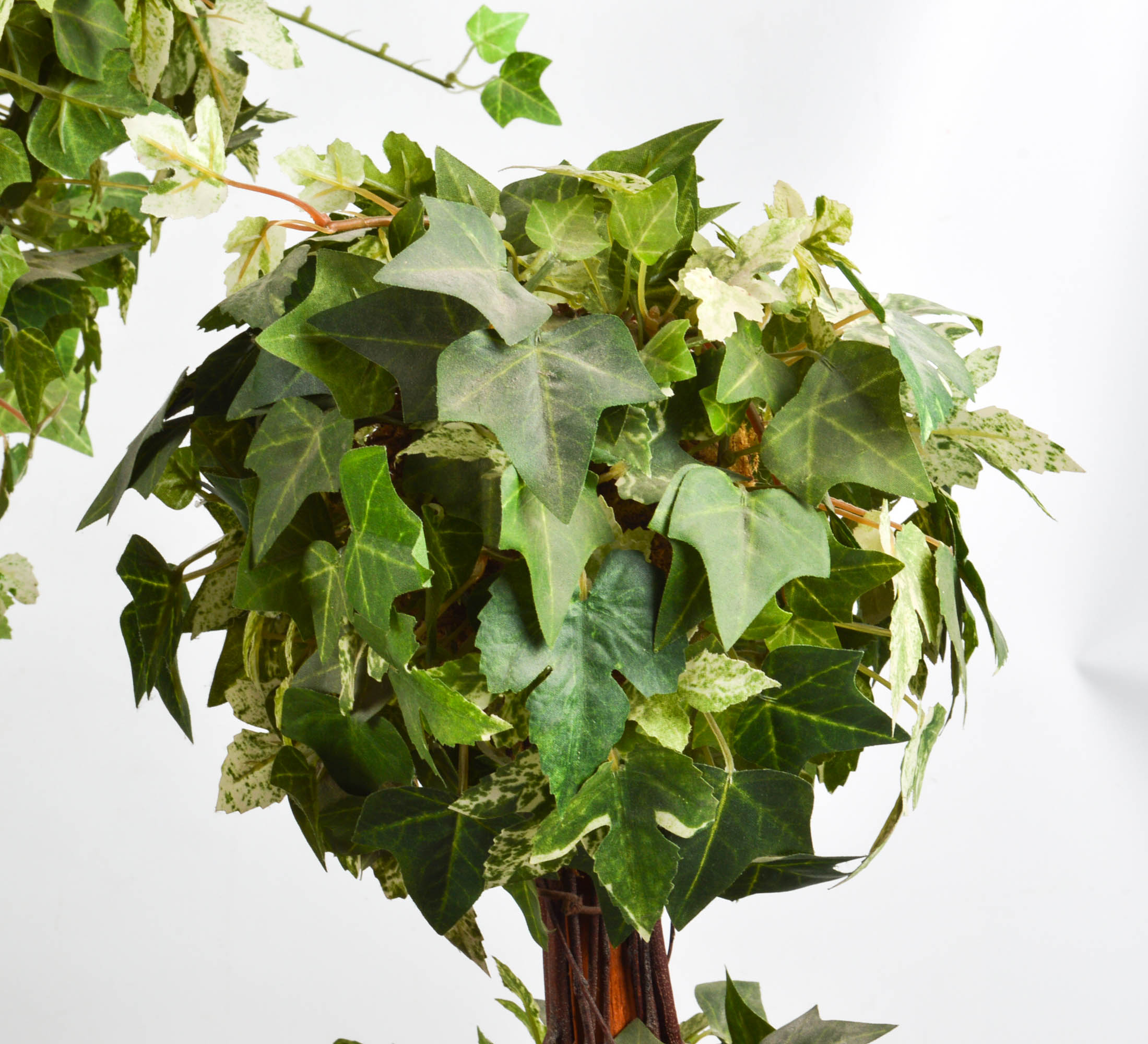 NDI Floral and Ivy Arrangements With Prints