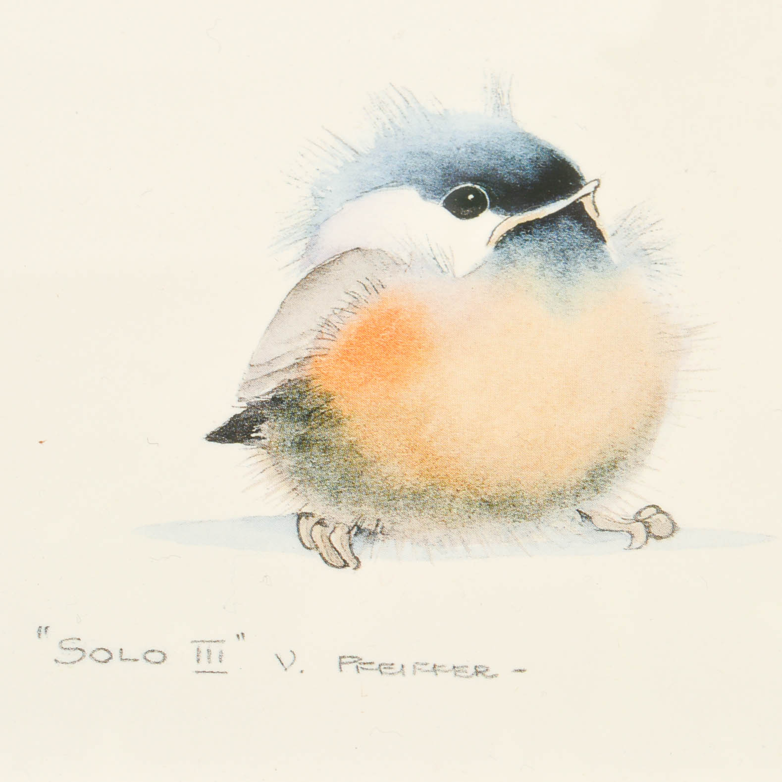 NDI Floral and Ivy Arrangements With Prints