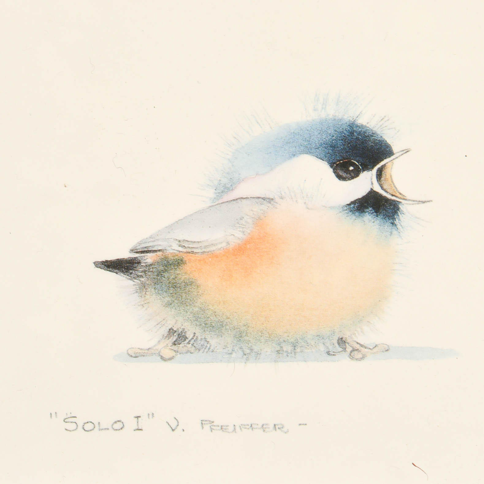 NDI Floral and Ivy Arrangements With Prints