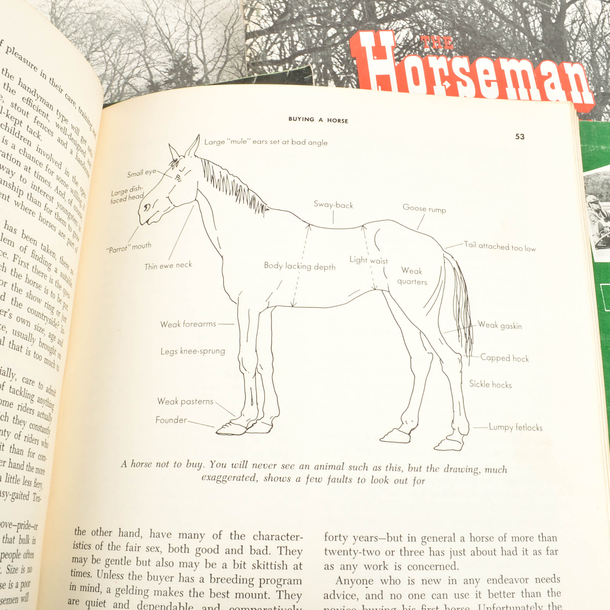 United States Trotting Association "Sires & Dams" and "Yearbooks"