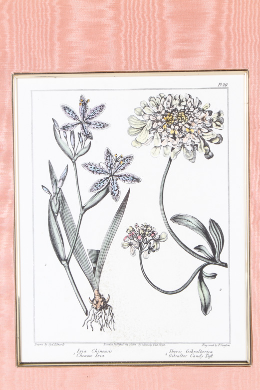 Offset Lithograph Print After a F. Sanfom Engraving