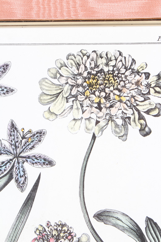Offset Lithograph Print After a F. Sanfom Engraving
