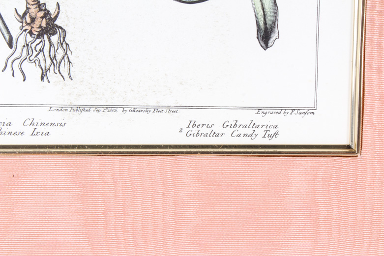 Offset Lithograph Print After a F. Sanfom Engraving