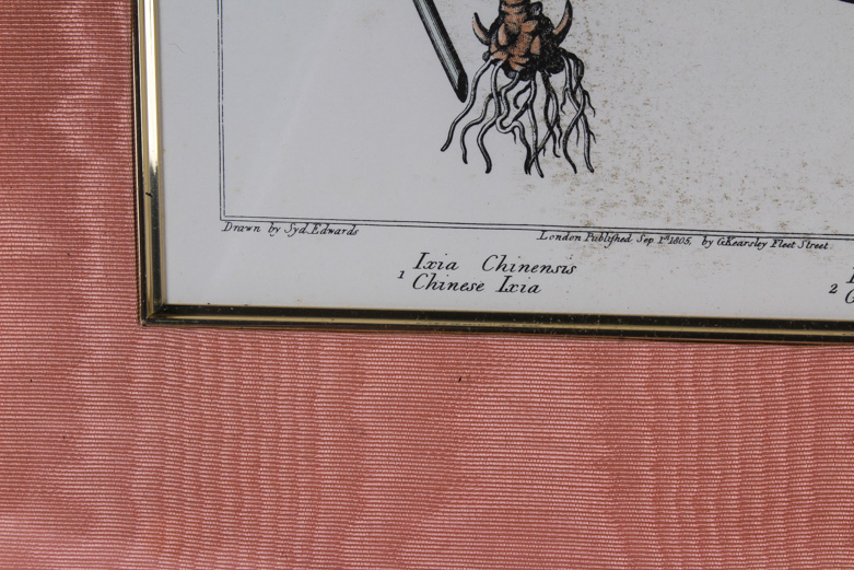 Offset Lithograph Print After a F. Sanfom Engraving
