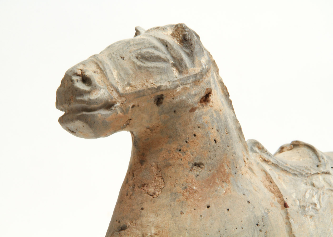 Chinese Tang Dynasty Style Terracotta Horse
