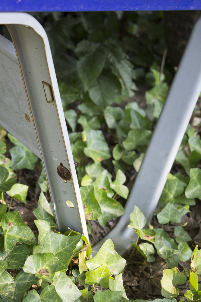 Kobalt Steel Wheelbarrow