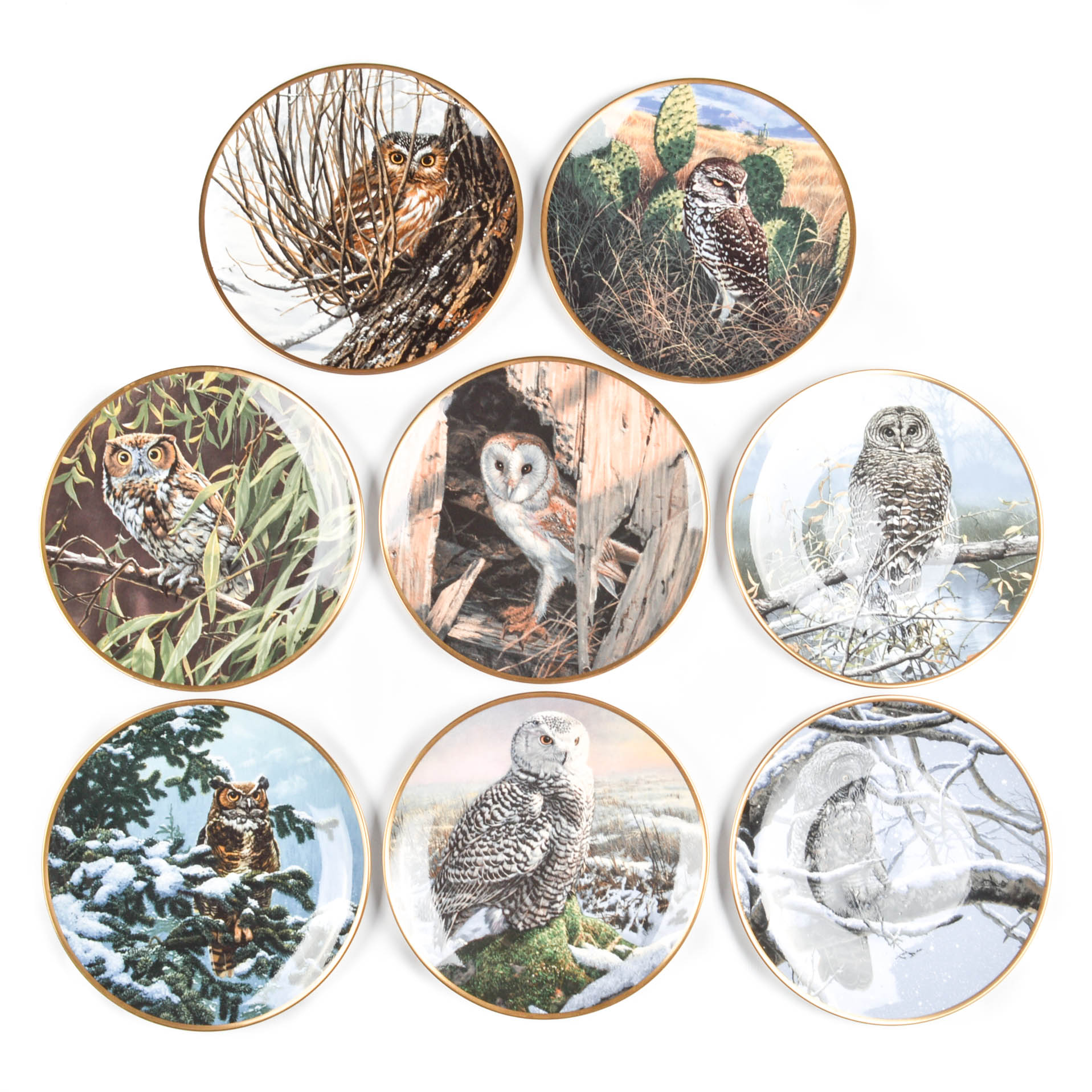 Collectible Owl Plate Collection Including Spode and Hamilton Collection