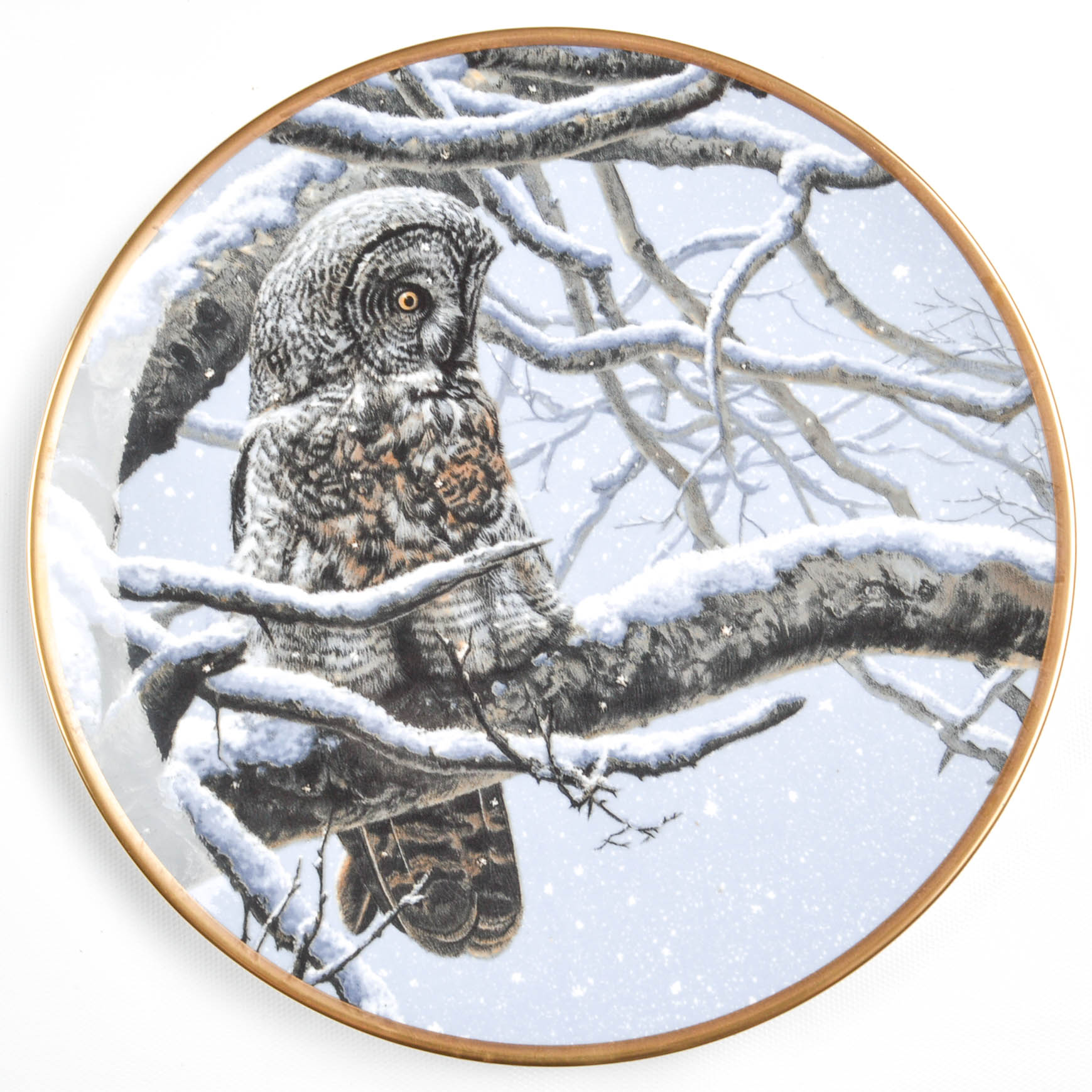 Collectible Owl Plate Collection Including Spode and Hamilton Collection