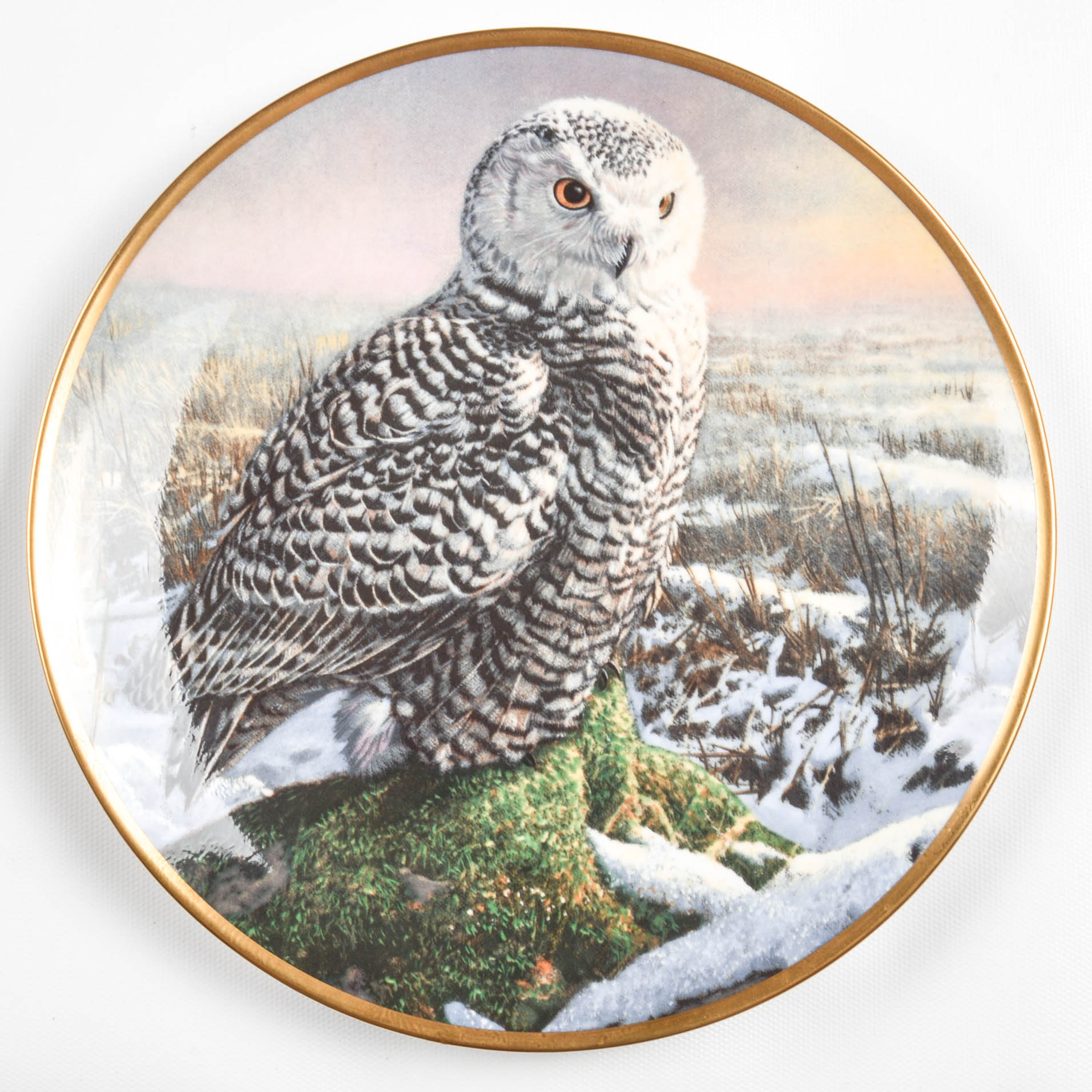 Collectible Owl Plate Collection Including Spode and Hamilton Collection