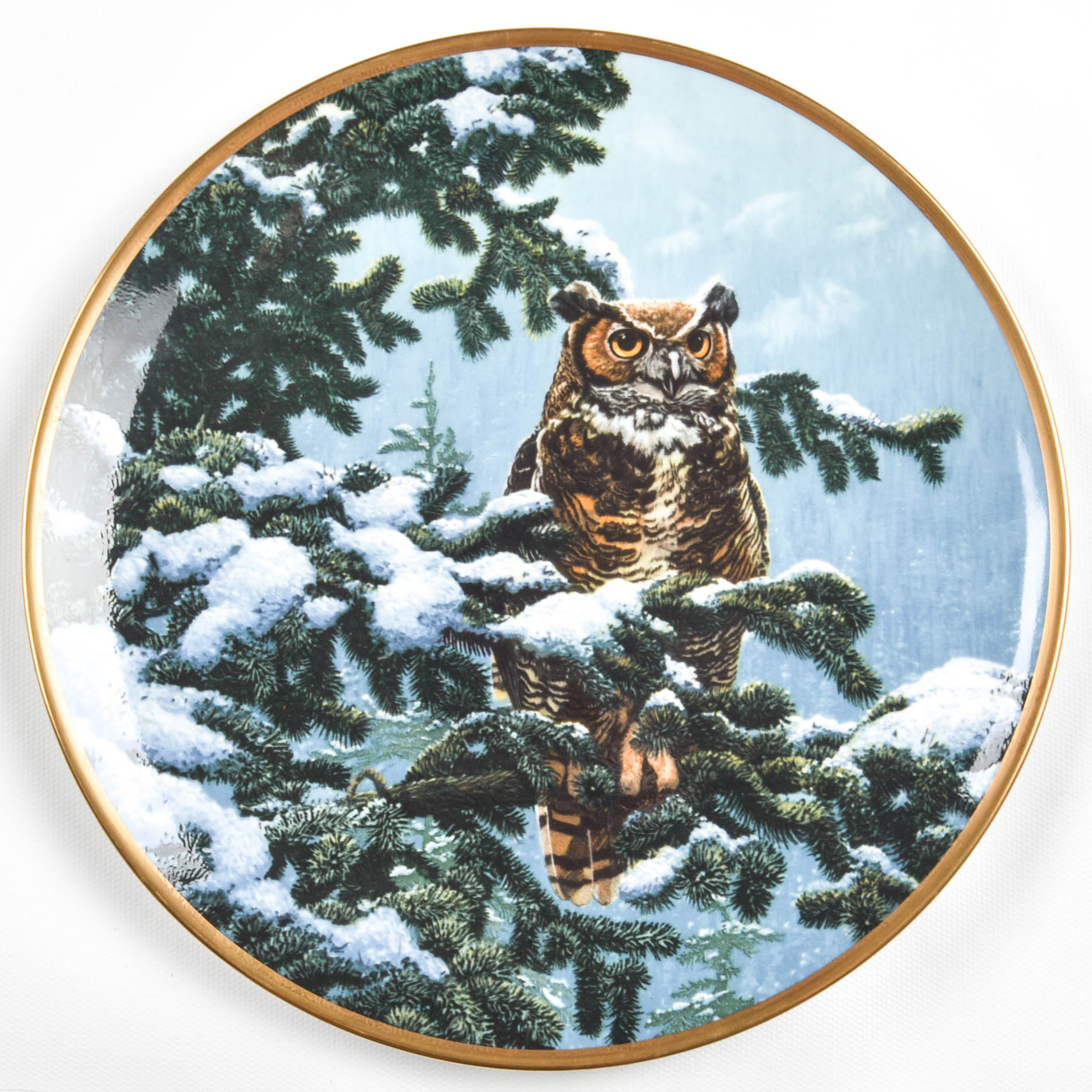 Collectible Owl Plate Collection Including Spode and Hamilton Collection