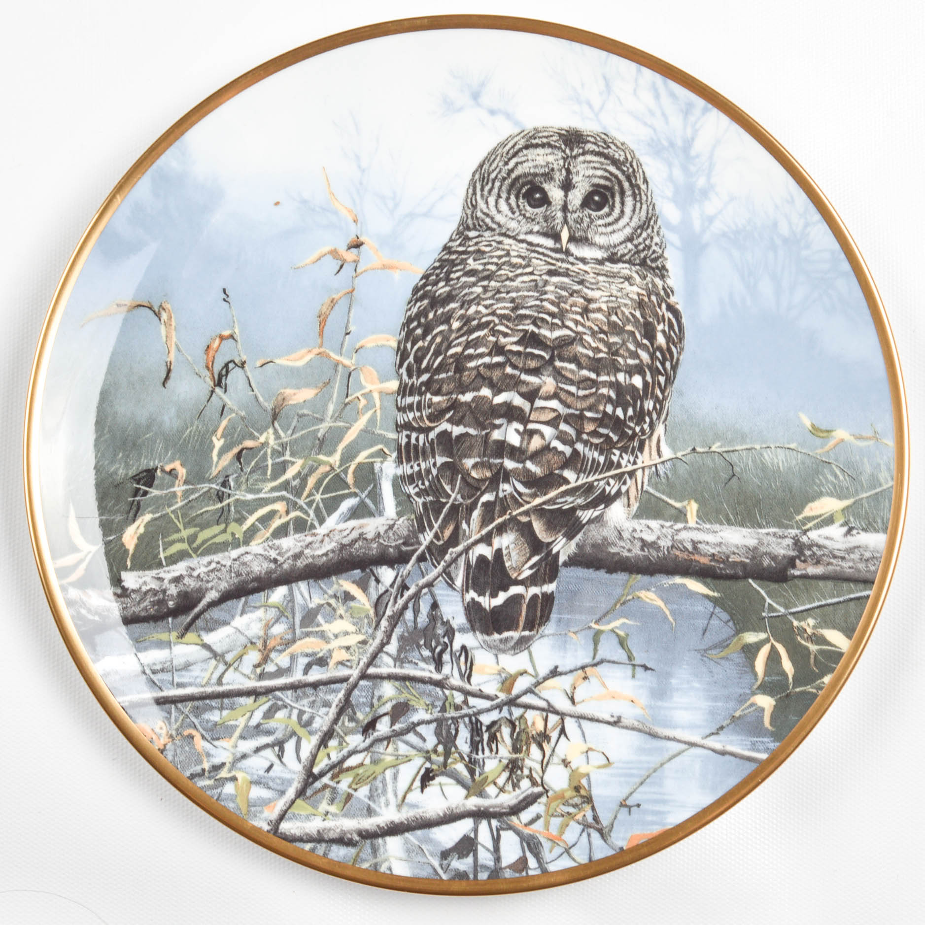 Collectible Owl Plate Collection Including Spode and Hamilton Collection