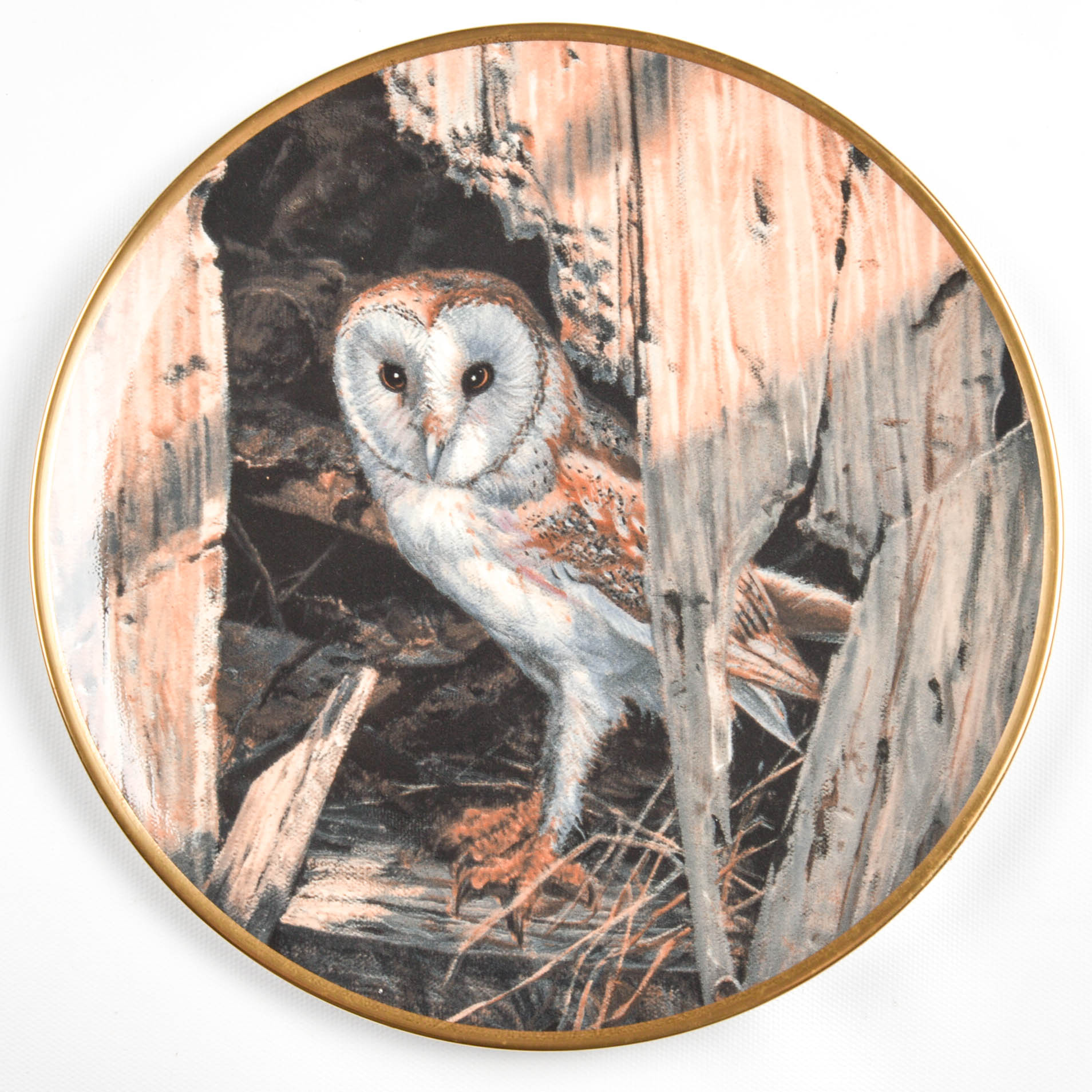 Collectible Owl Plate Collection Including Spode and Hamilton Collection