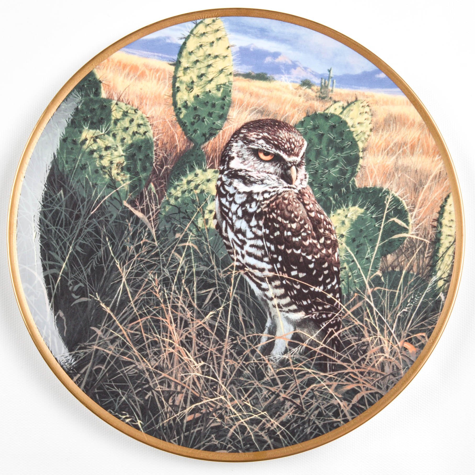 Collectible Owl Plate Collection Including Spode and Hamilton Collection