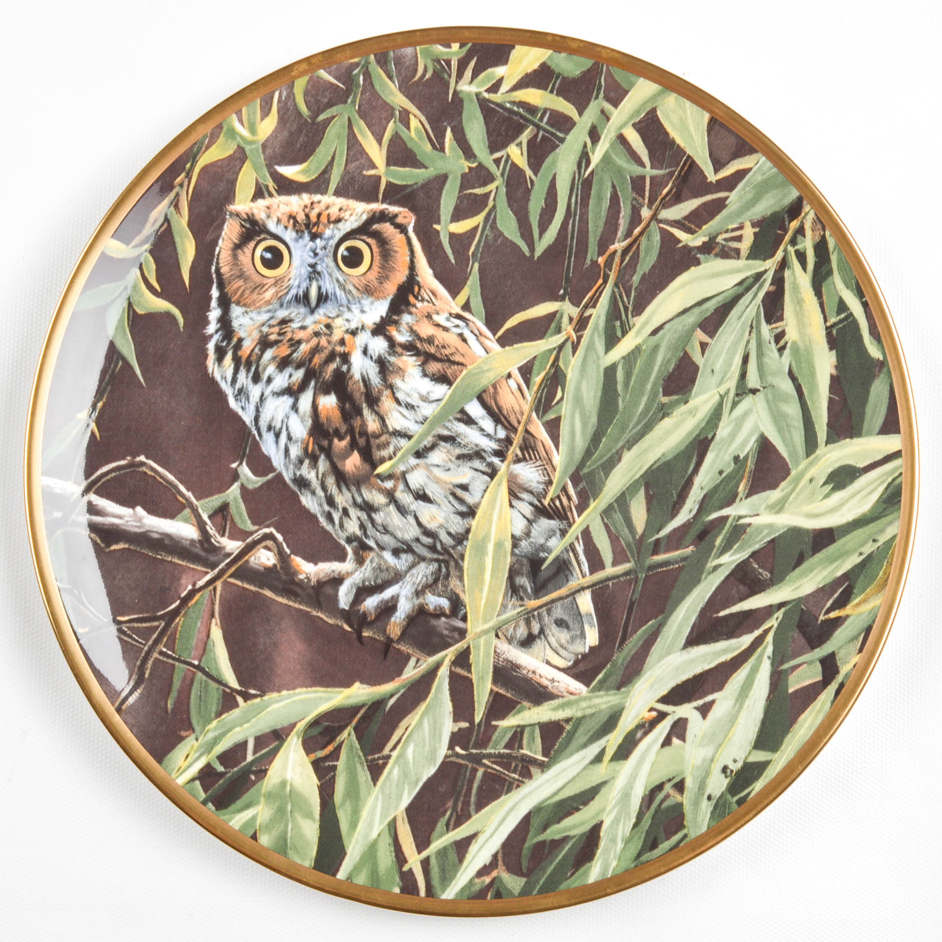 Collectible Owl Plate Collection Including Spode and Hamilton Collection