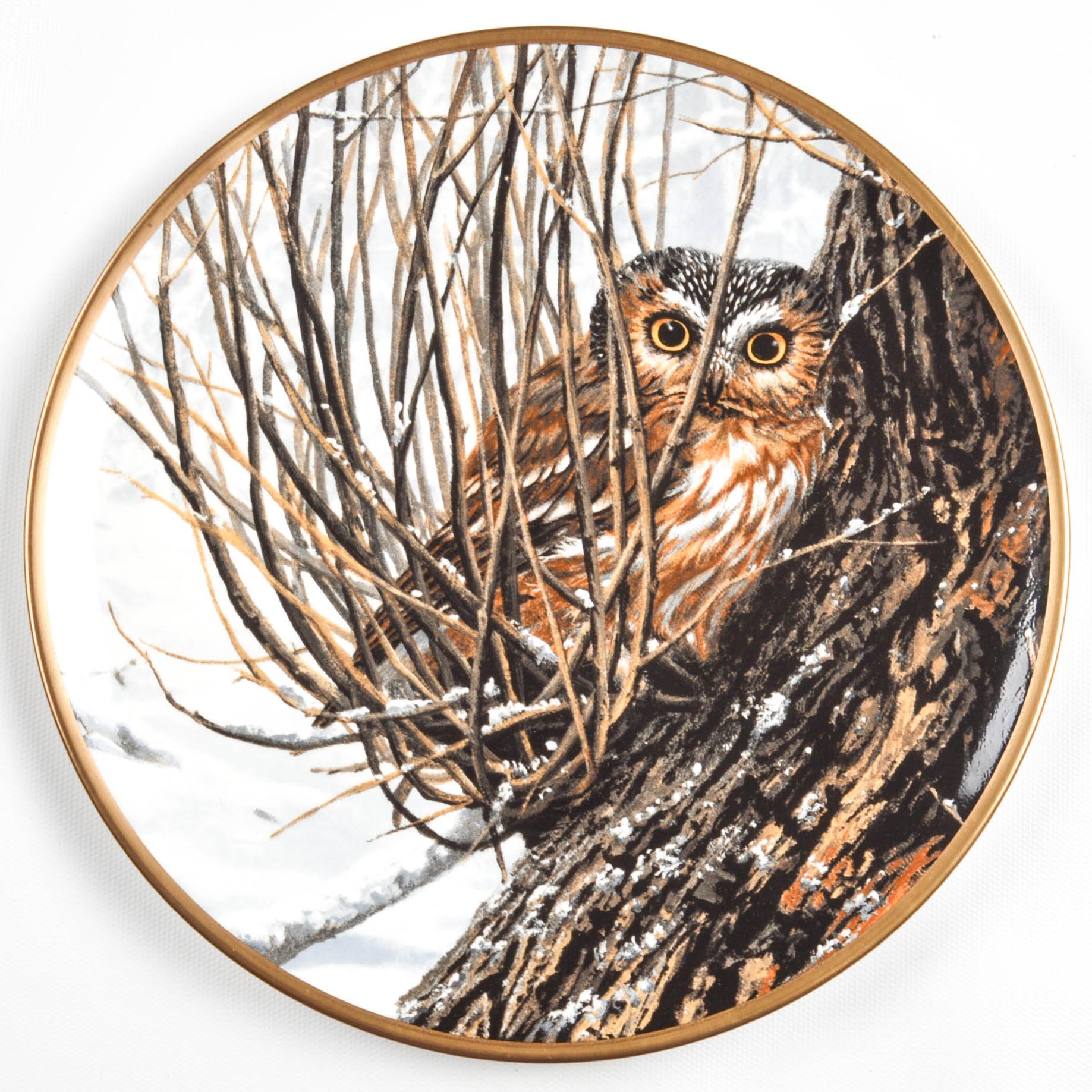 Collectible Owl Plate Collection Including Spode and Hamilton Collection