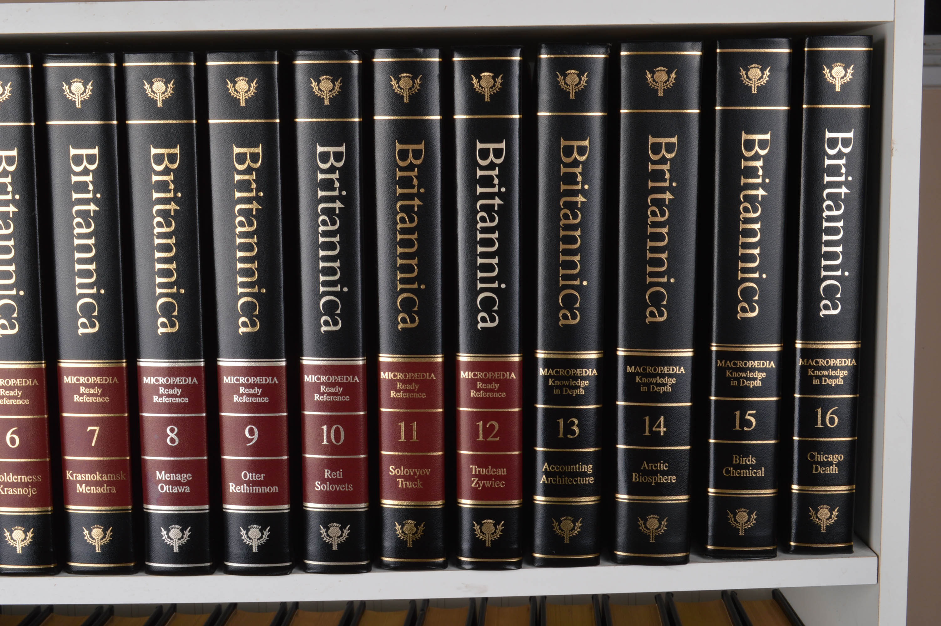 15th Edition Encyclopædia Brittanica and Bookcase