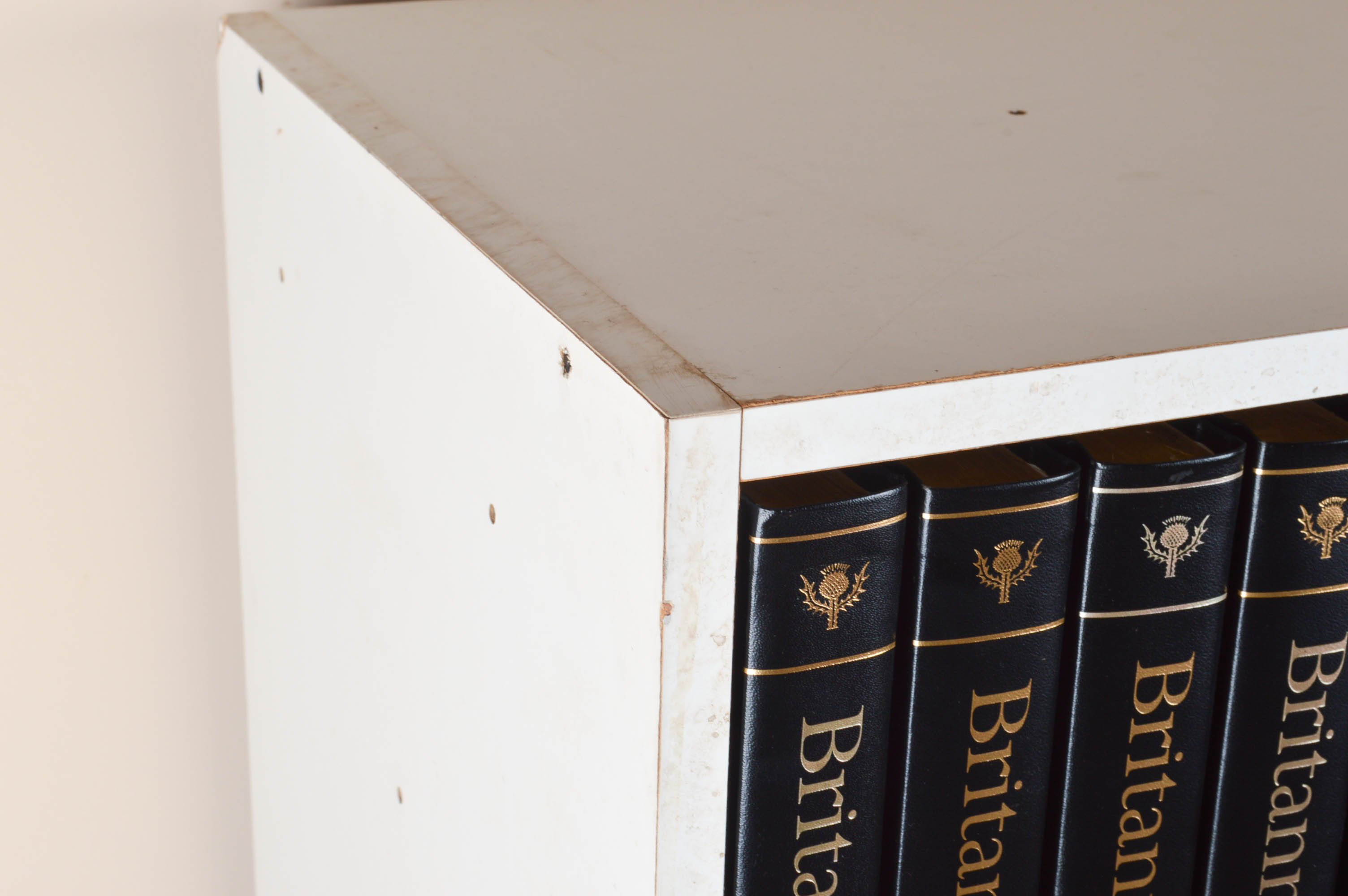 15th Edition Encyclopædia Brittanica and Bookcase