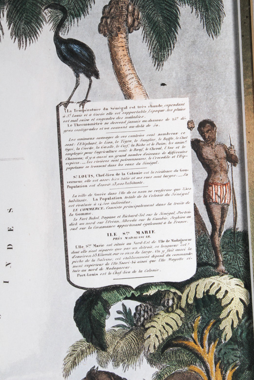 Offset Lithograph Print on Paper "Senegambia, Isle of Gorée, Madagascar"