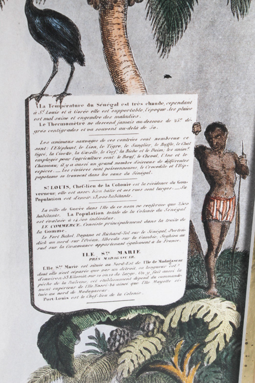 Offset Lithograph Print on Paper "Senegambia, Isle of Gorée, Madagascar"