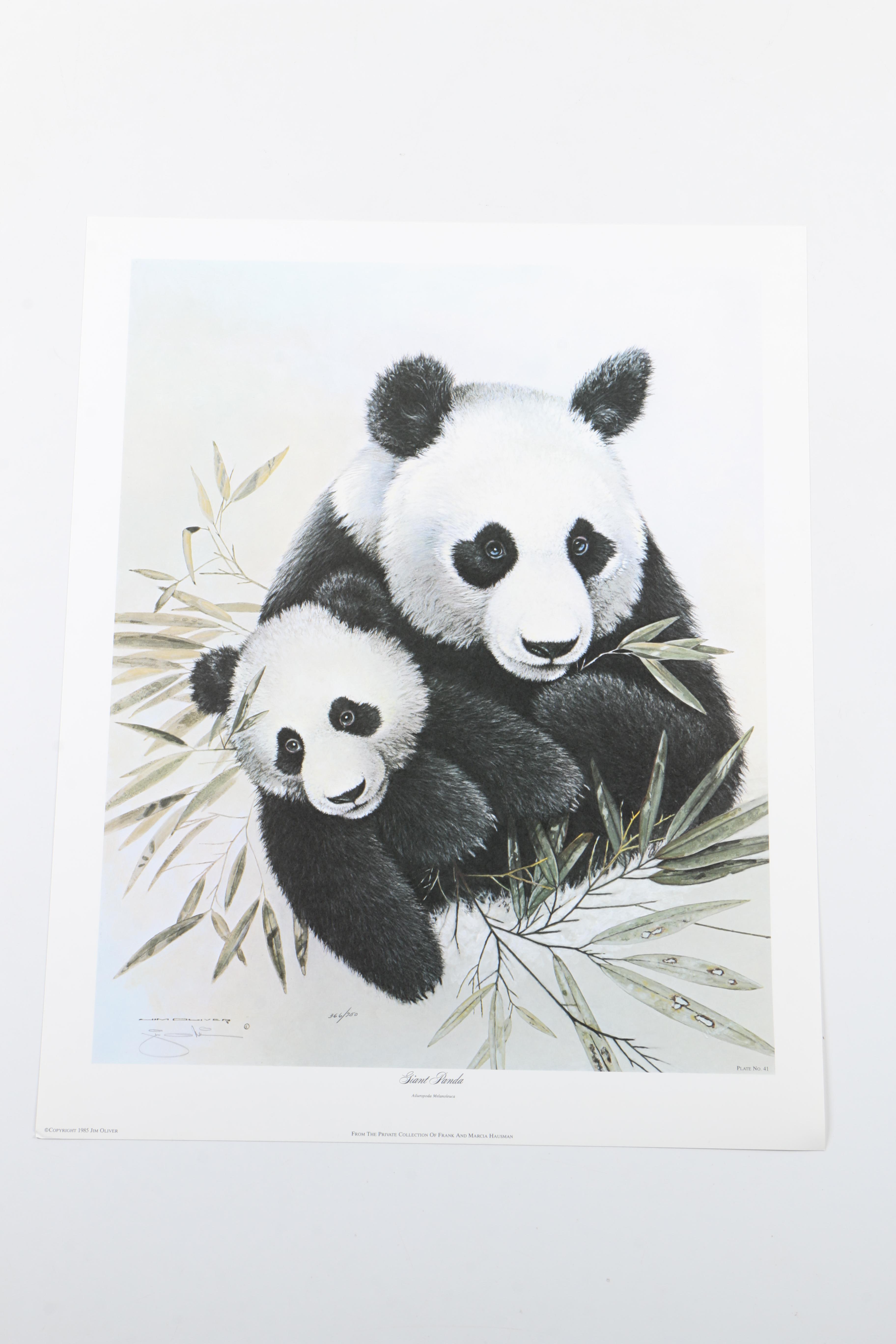 Jim Oliver Limited Edition Offset Lithograph Wildlife Prints
