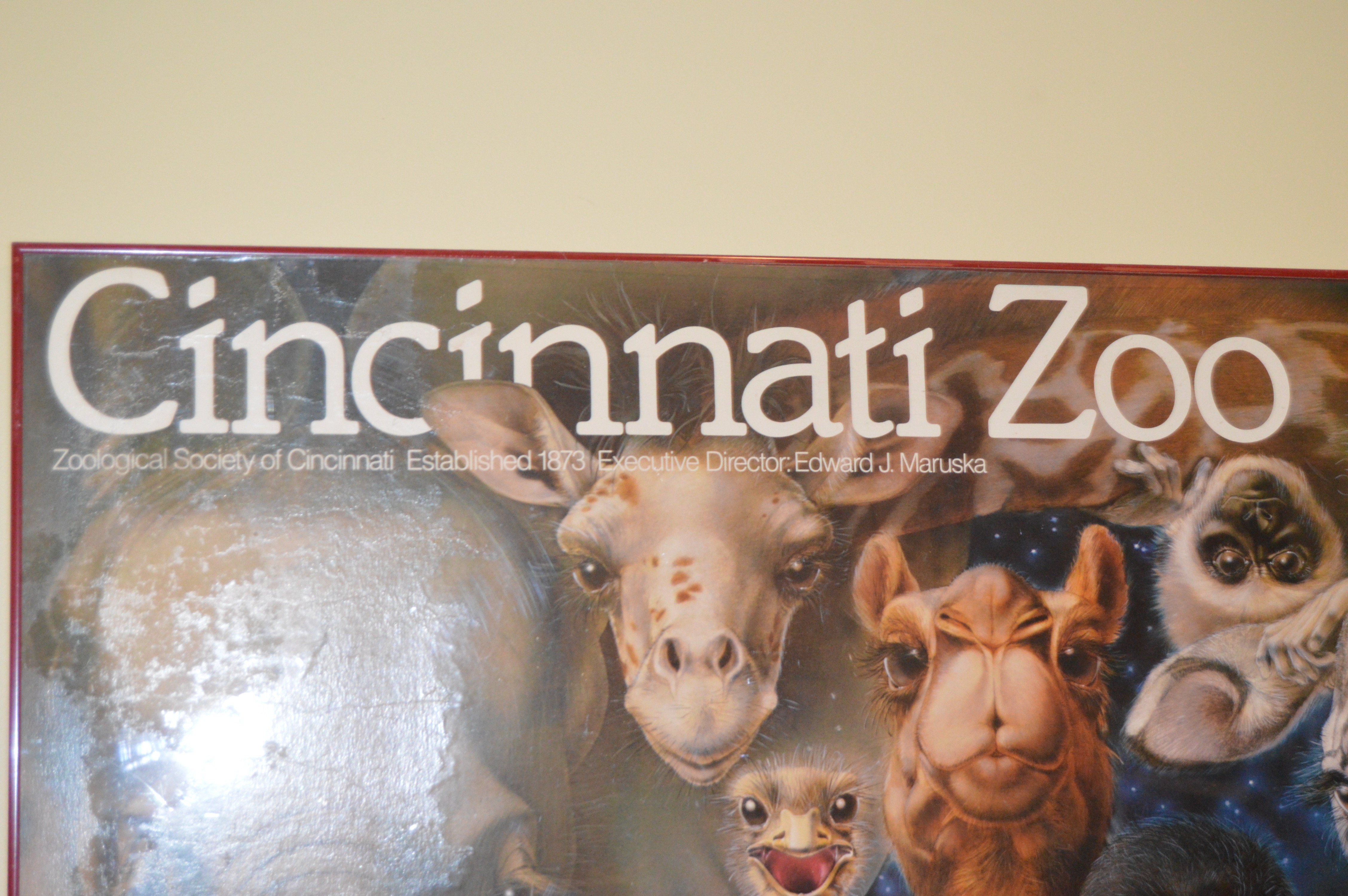 Cincinnati Zoo "New Ones" Poster