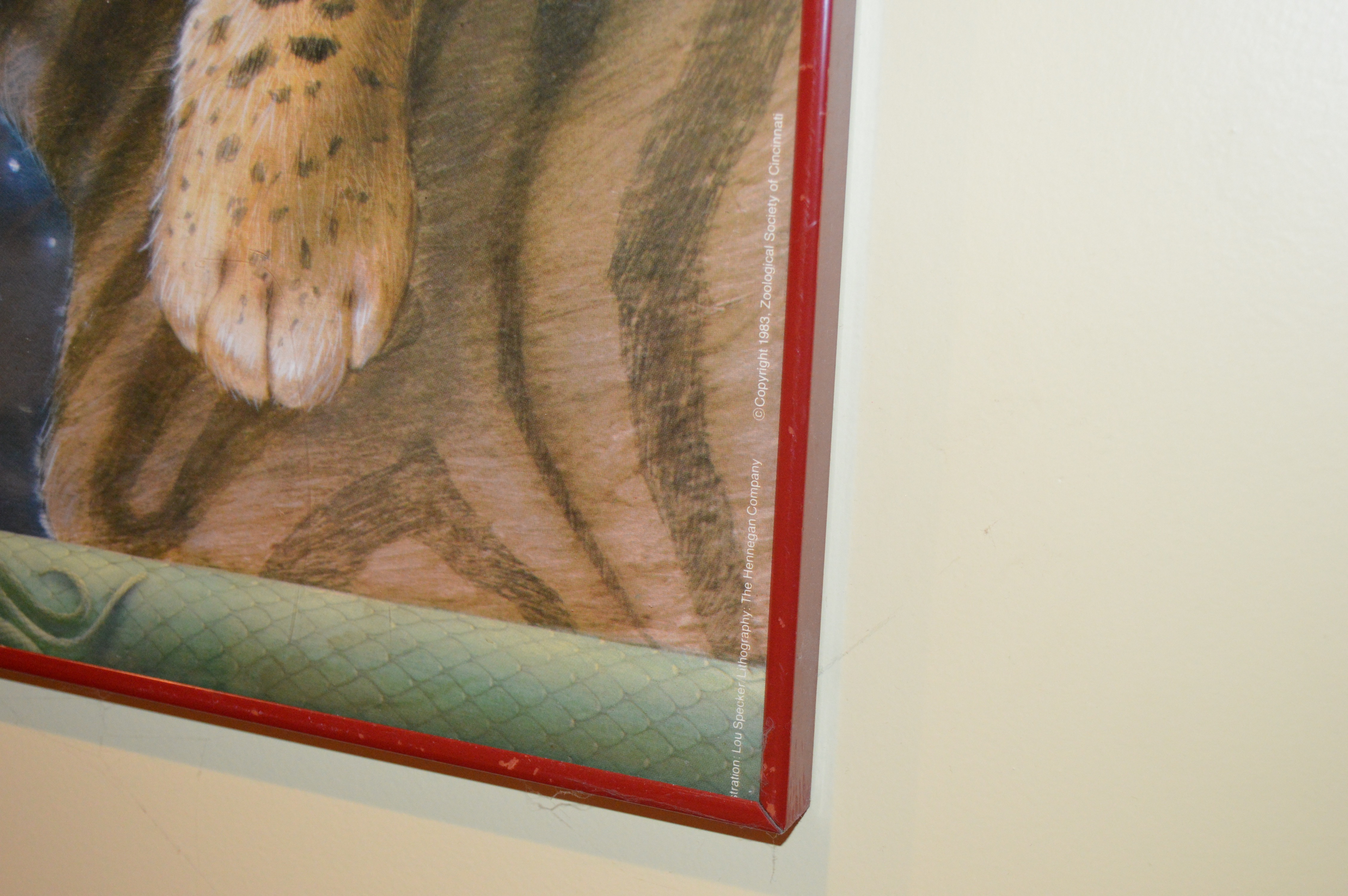 Cincinnati Zoo "New Ones" Poster