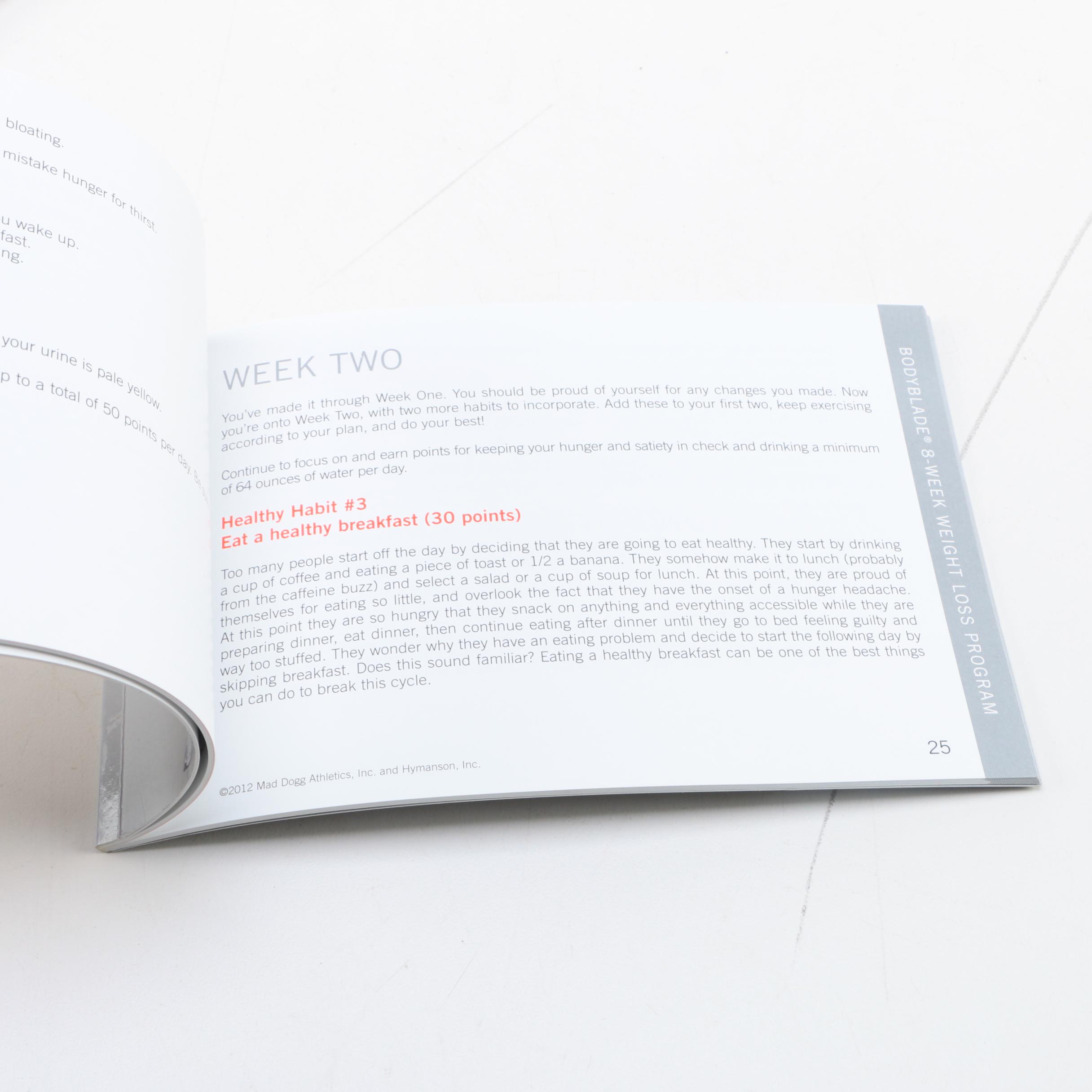 Bodyblade Classic Exercise Bar and Booklet