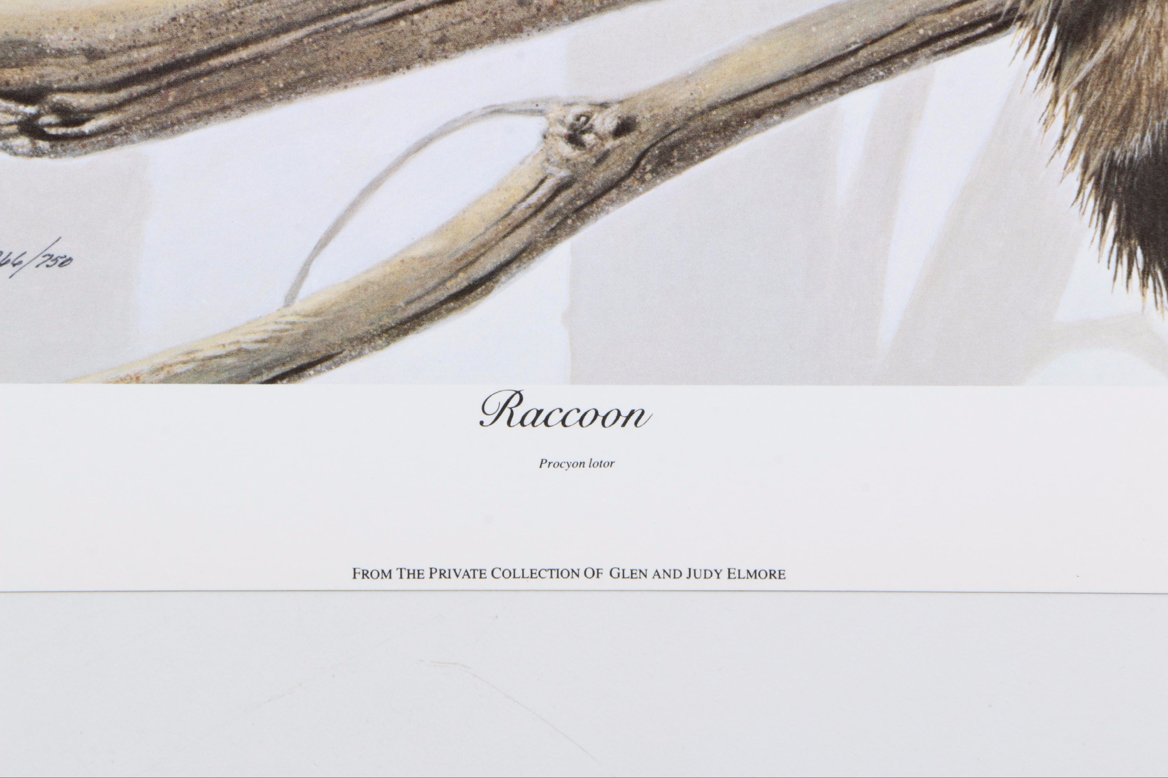 Jim Oliver Limited Edition Offset Lithograph Wildlife Prints