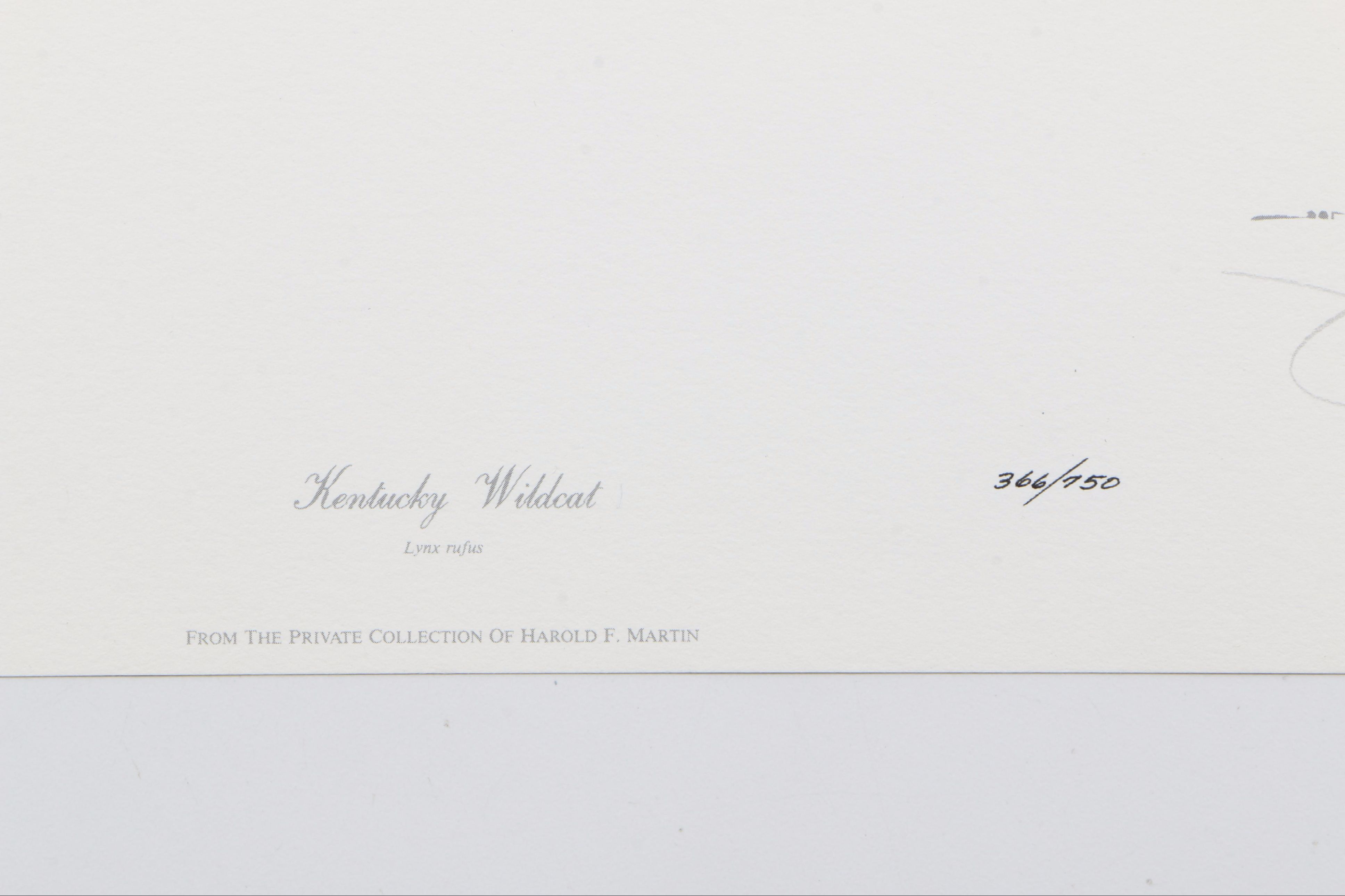 Jim Oliver Limited Edition Offset Lithograph Wildlife Prints