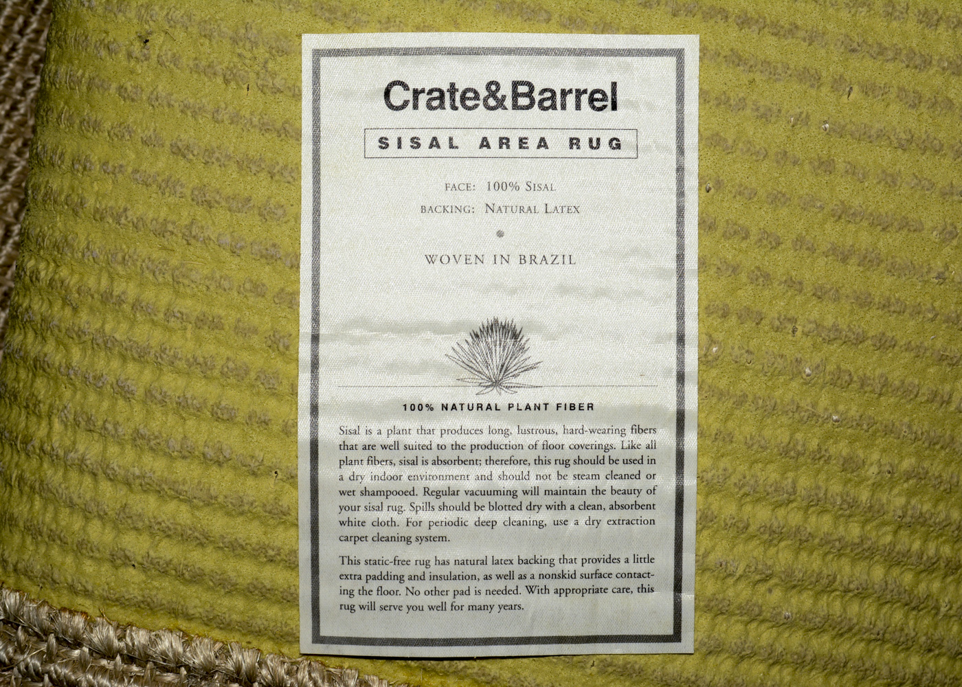Large Crate & Barrel Sisal Area Rug