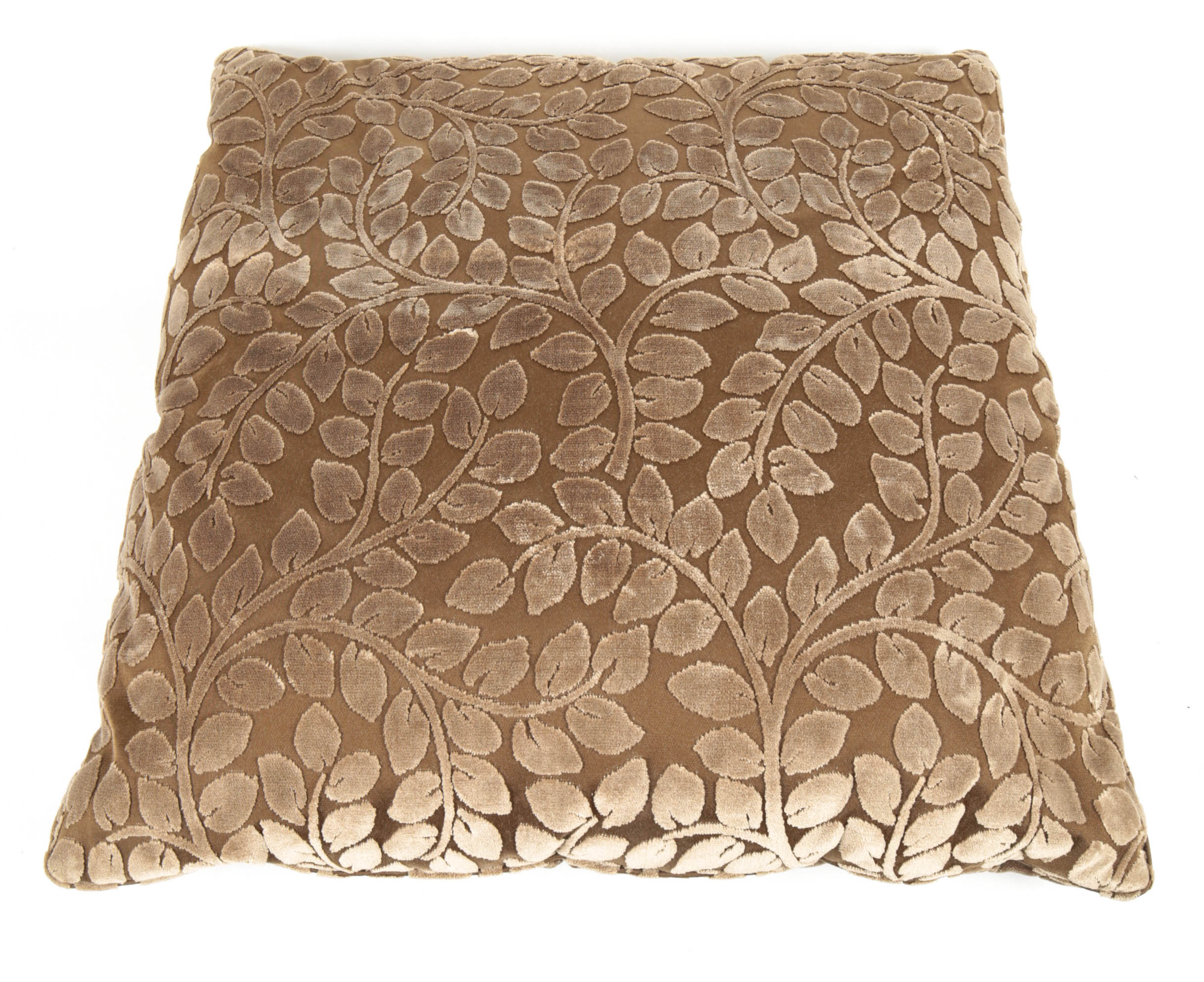 Set of Matching Decorative Velveteen Pillows