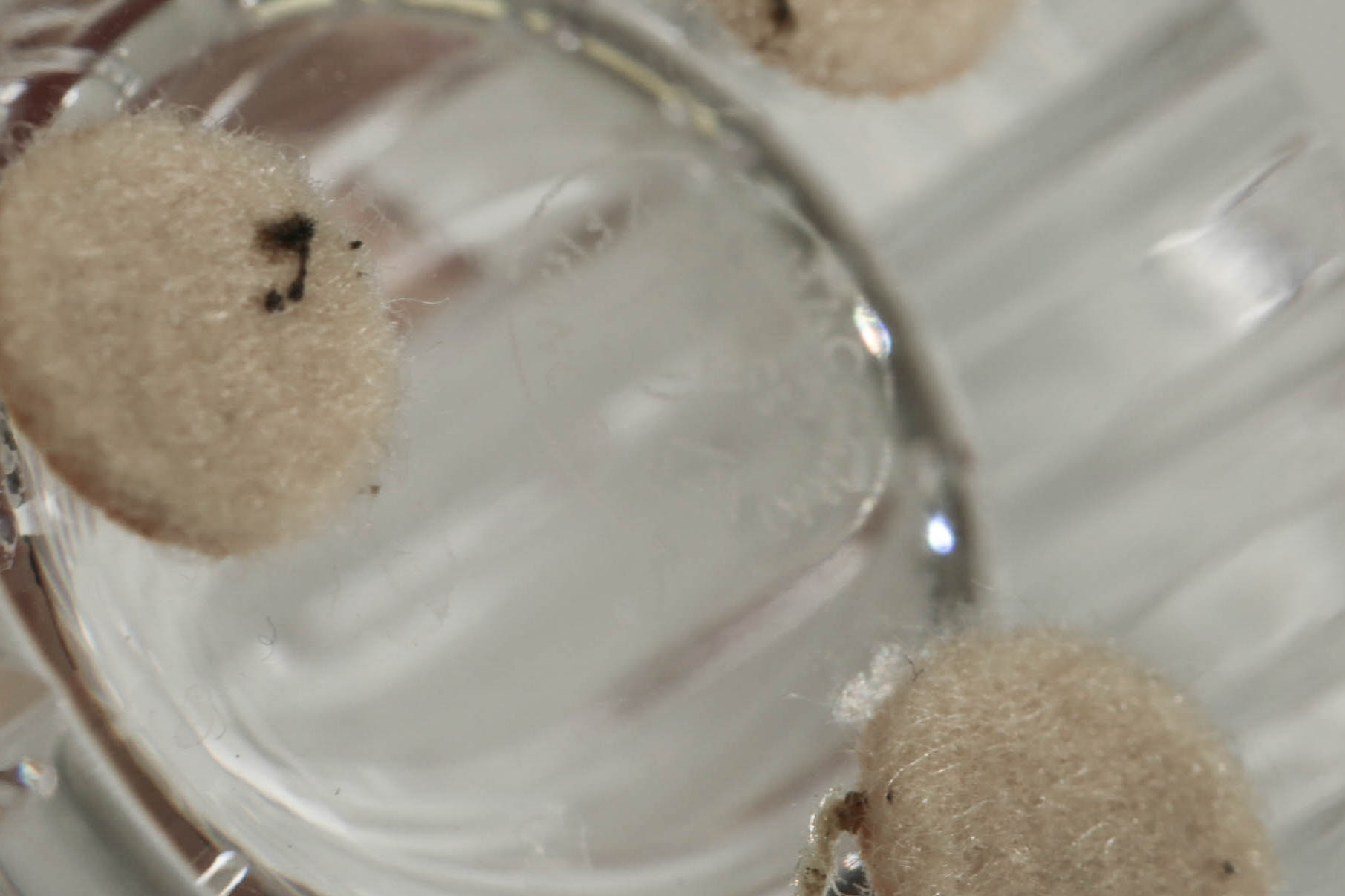 Baccarat "Harmonie" Crystal Vase