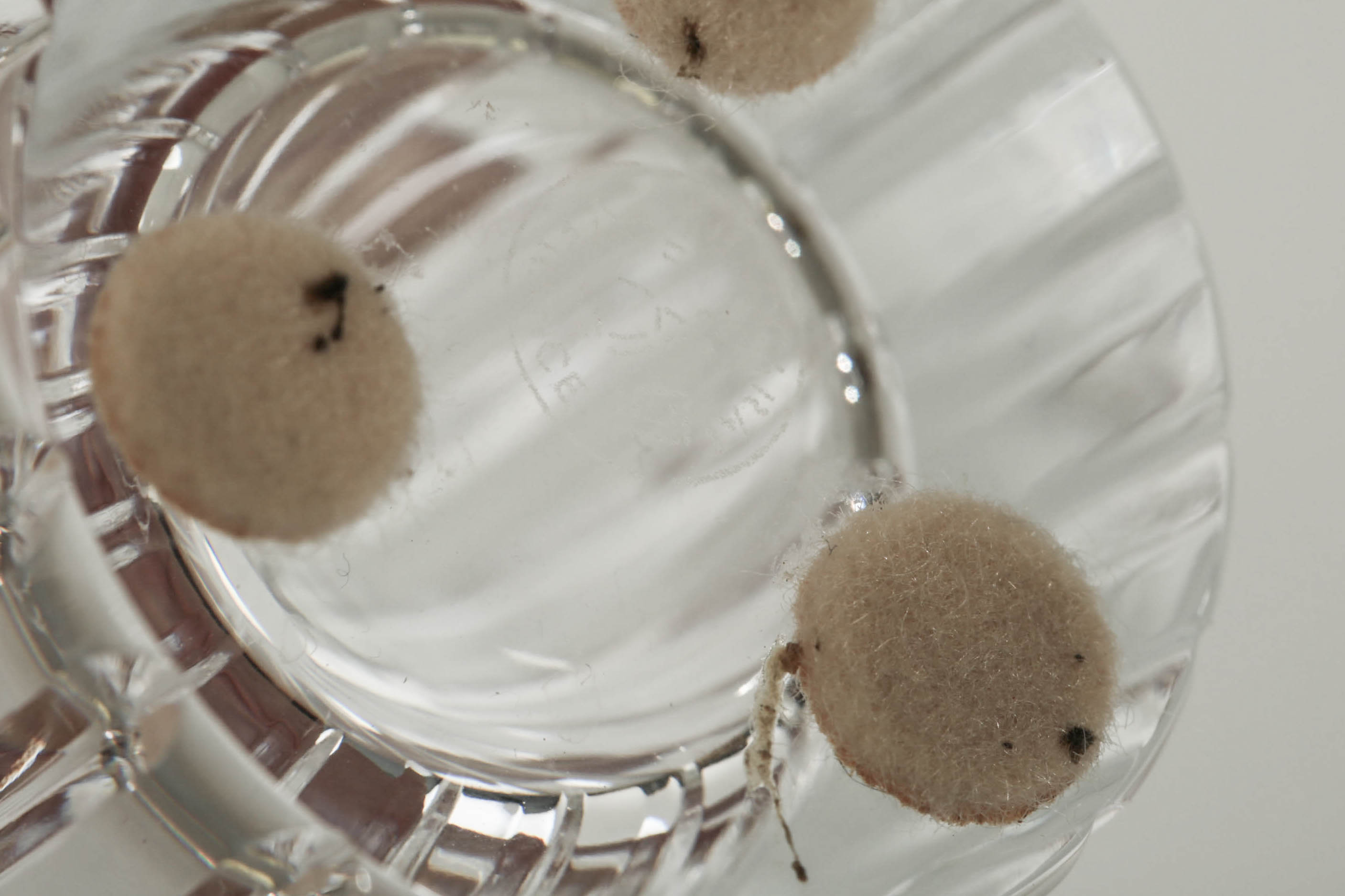 Baccarat "Harmonie" Crystal Vase