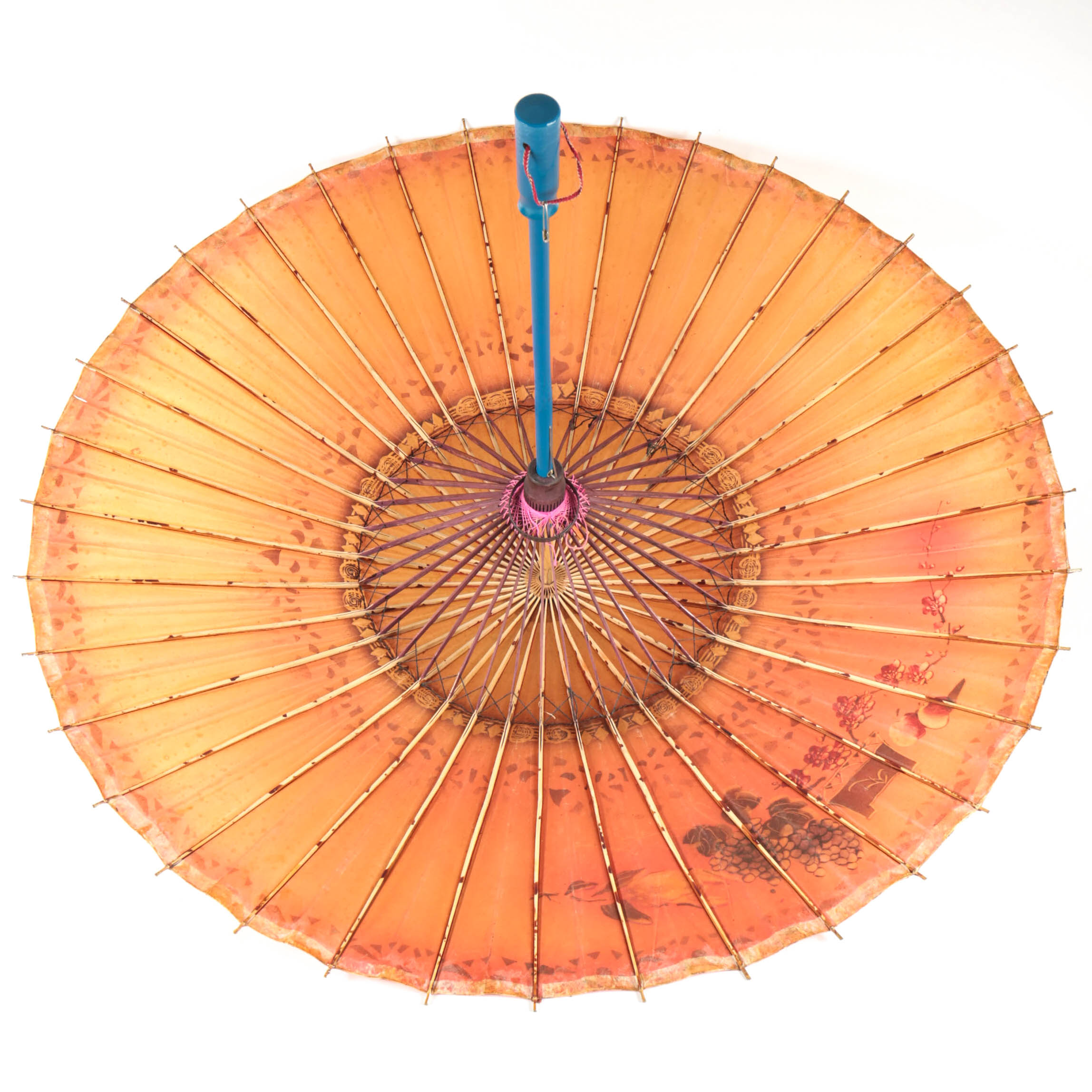 Asian Parasol