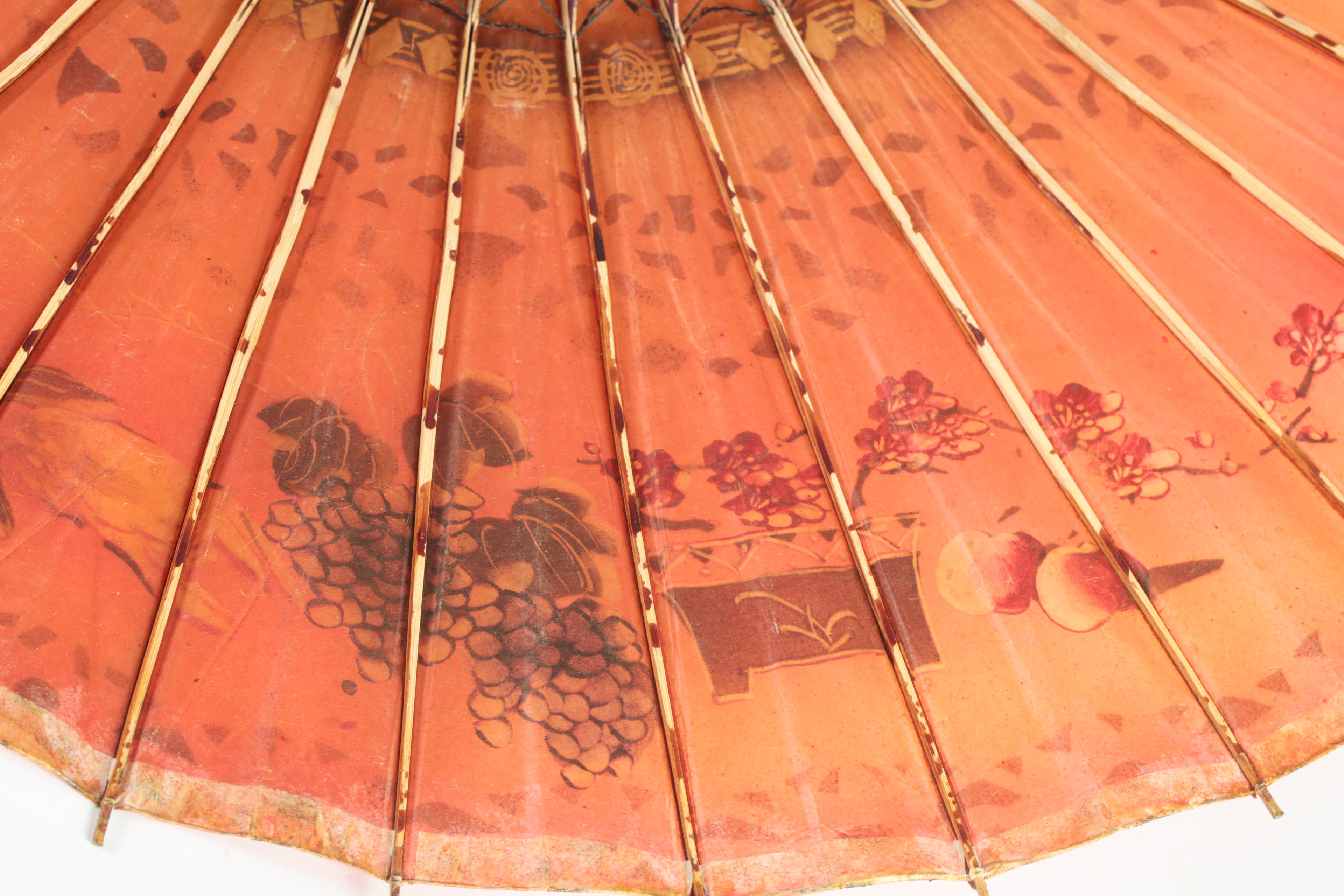Asian Parasol