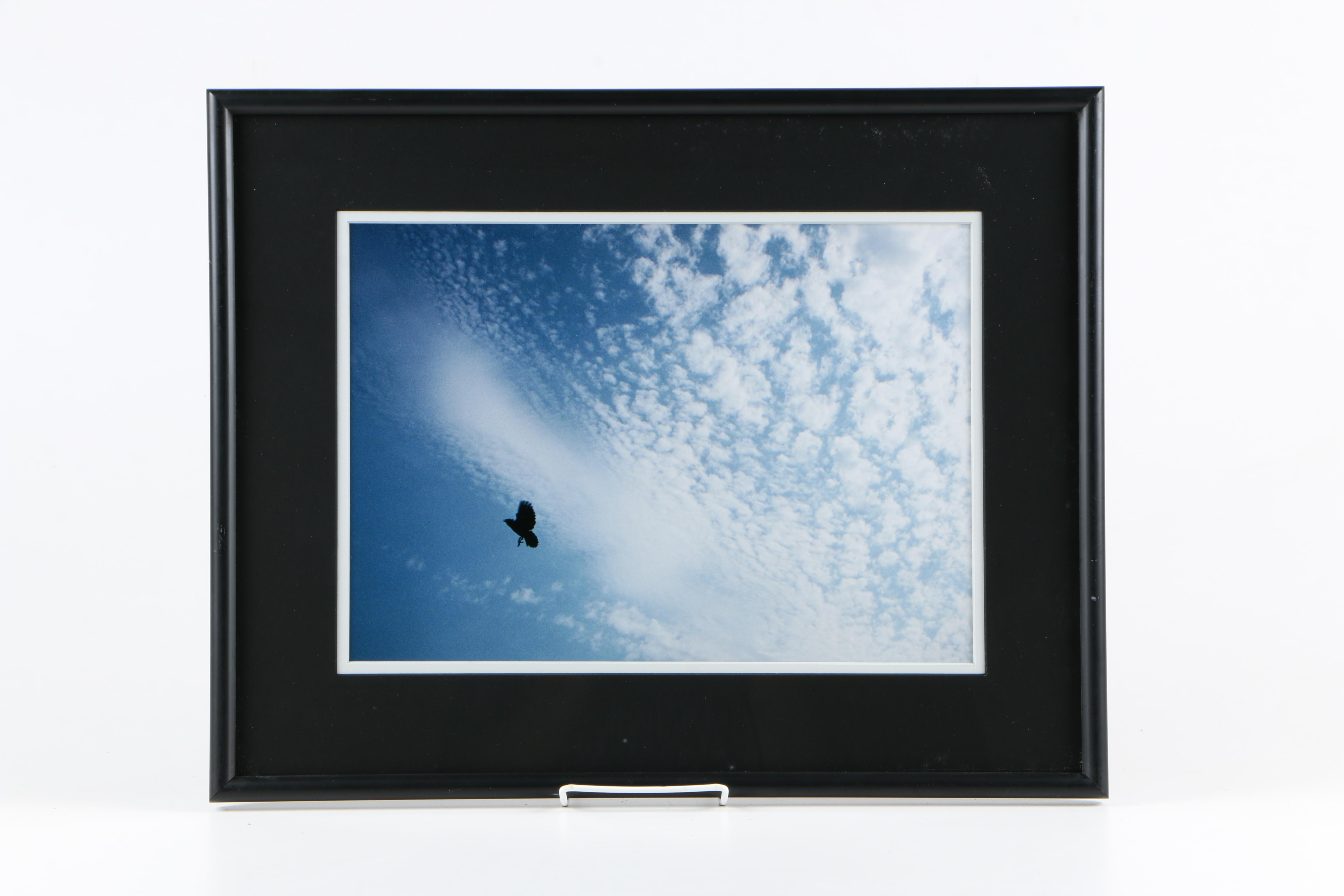 Tony Henneberg Oil Painting of Bird and Lucy Brown Giclee "In Flight"