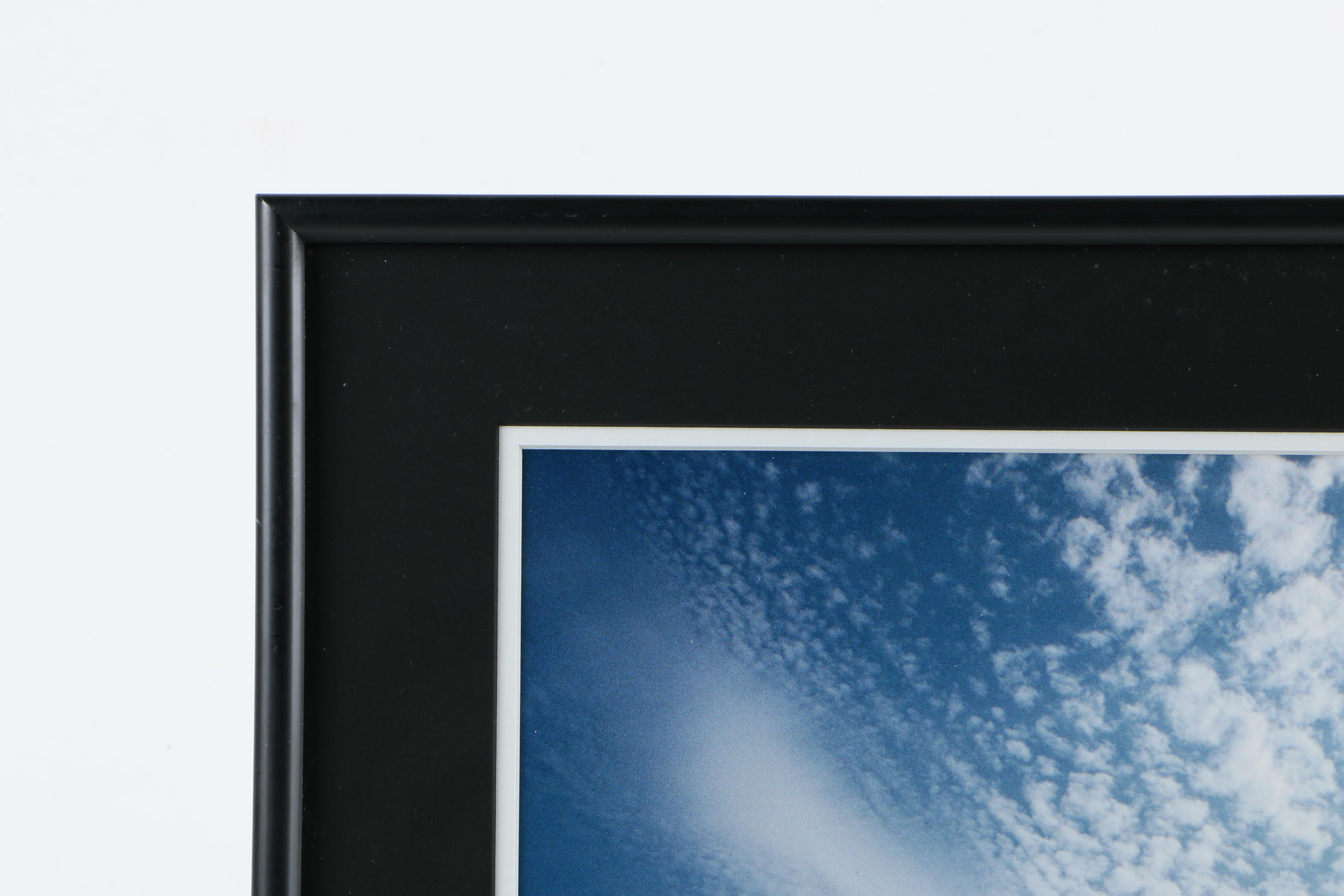 Tony Henneberg Oil Painting of Bird and Lucy Brown Giclee "In Flight"