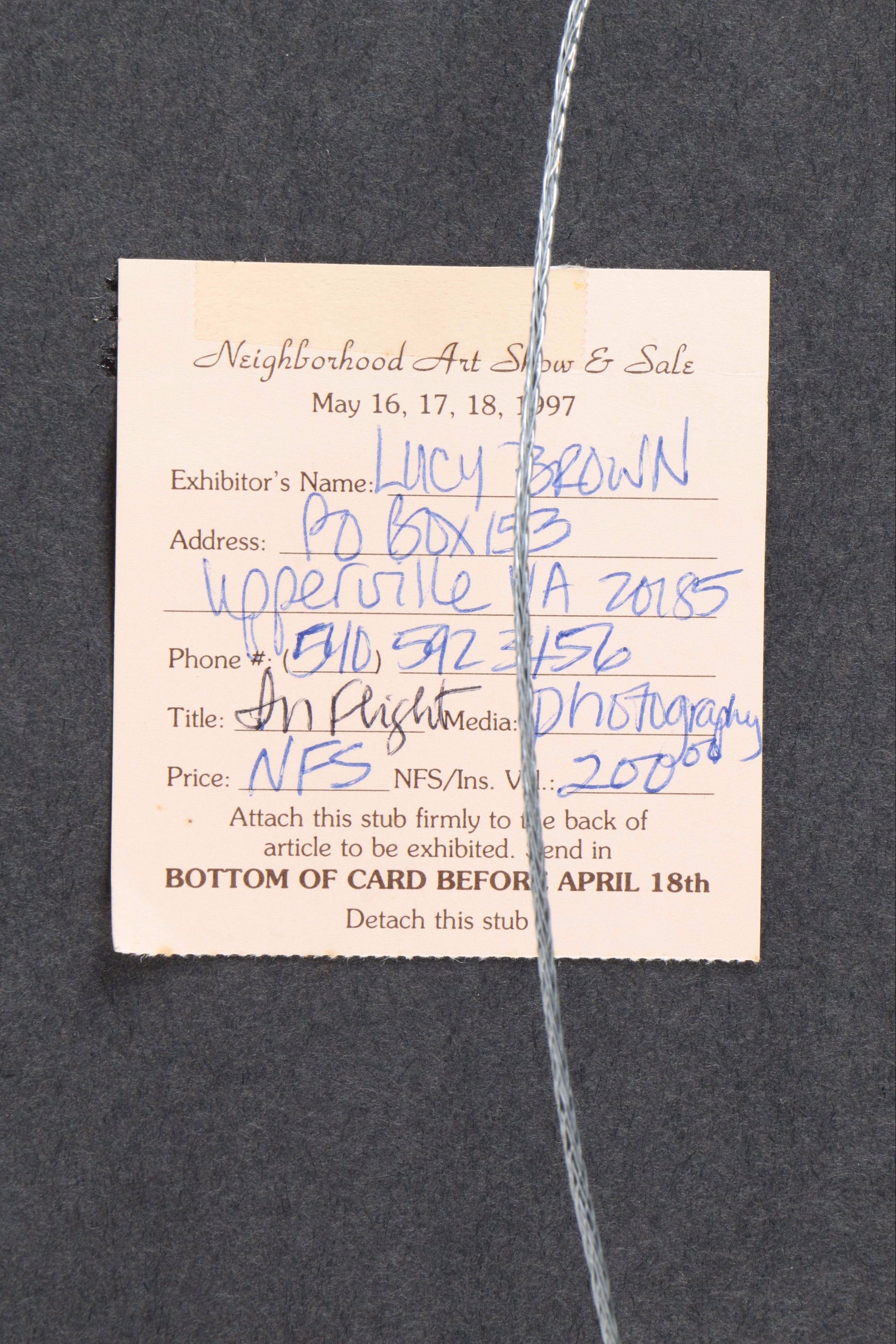 Tony Henneberg Oil Painting of Bird and Lucy Brown Giclee "In Flight"