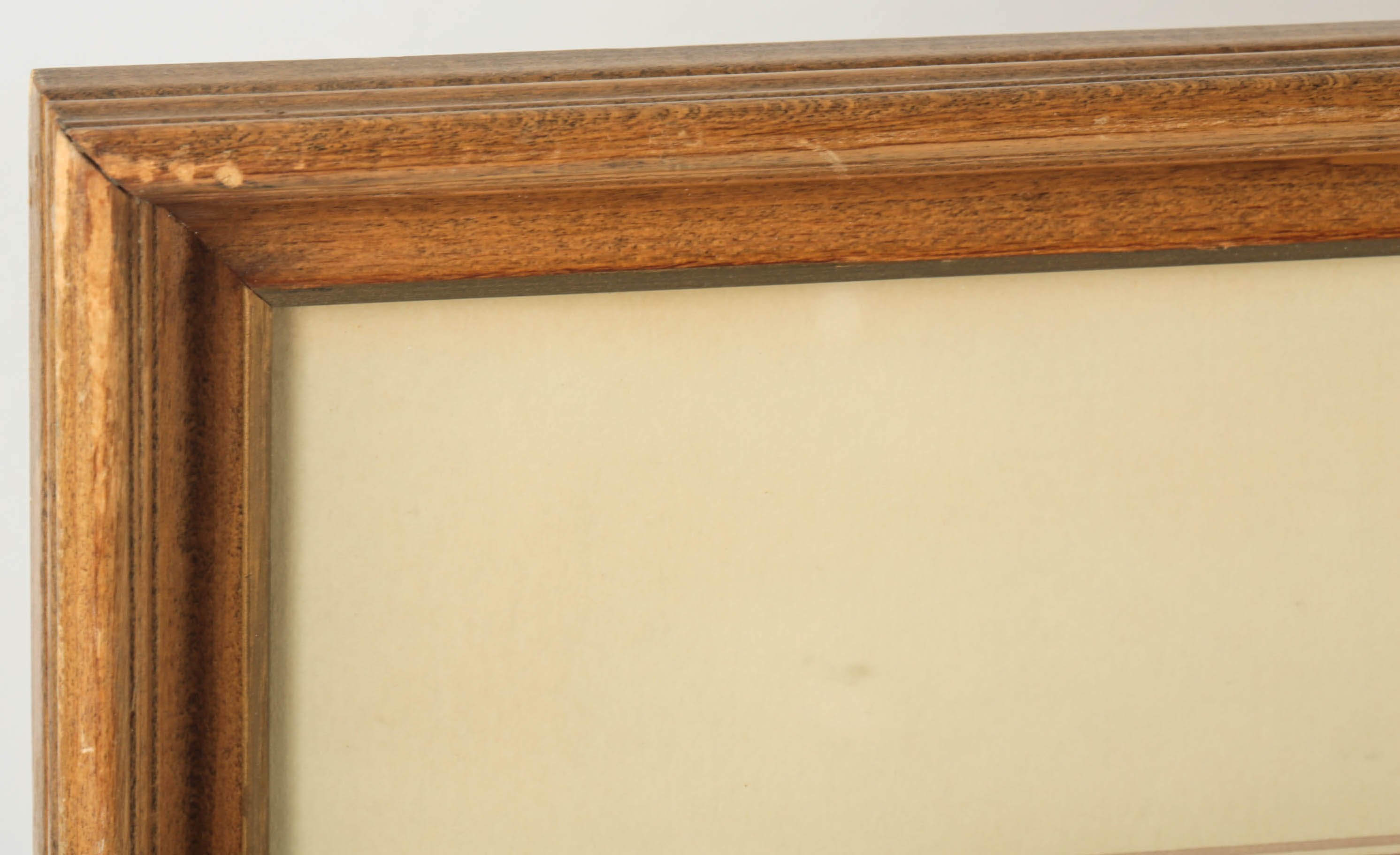 Chromolithograph by Fred S. Cozzens