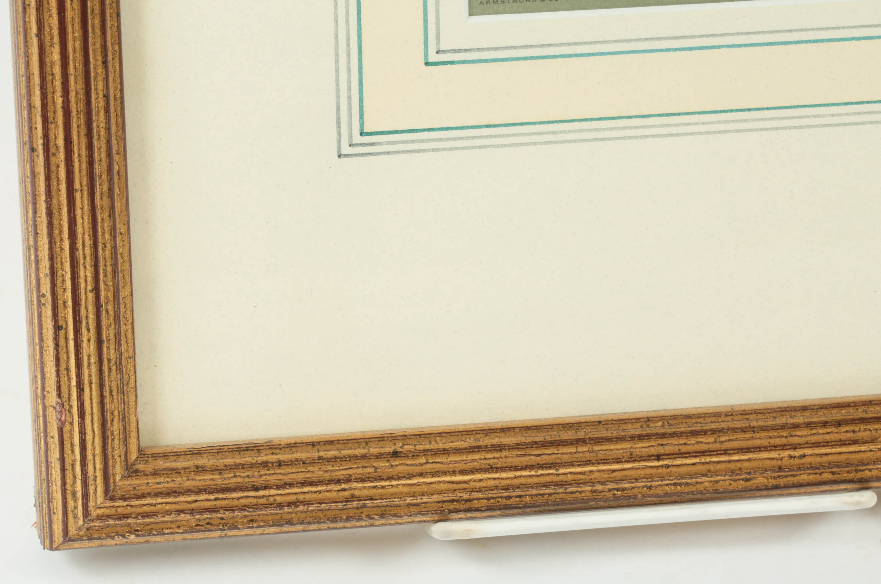 Chromolithograph by Fred S. Cozzens